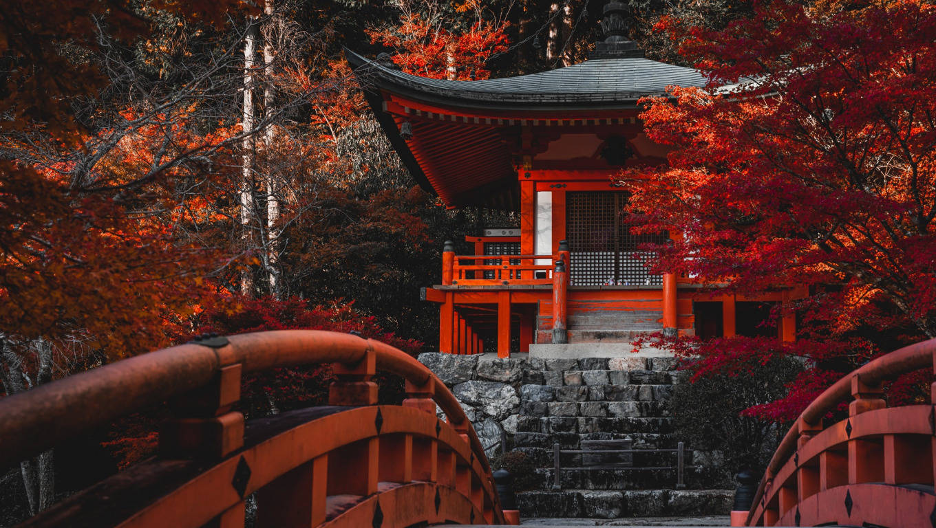 京都 桌布 壁紙 — 一座傳統的紅色日本神社，隱藏在火紅的秋天楓樹之間，有一座彎曲的木橋通往它。