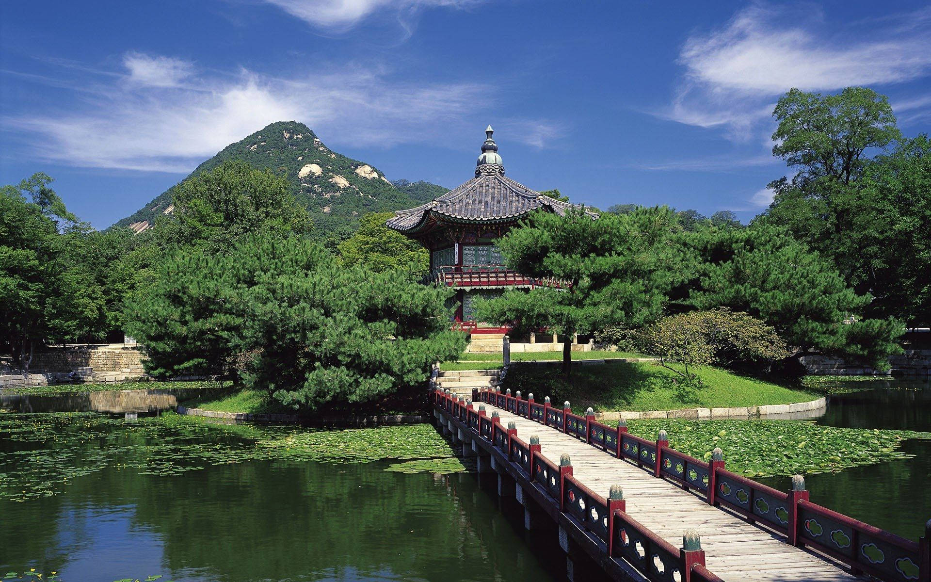 Jeju 桌布 壁紙 — 一座傳統韓國亭閣，擁有彎曲的屋頂，坐落於翠綠島嶼上，由木橋連接，橋下池塘滿佈睡蓮，上方是明亮的藍天。
