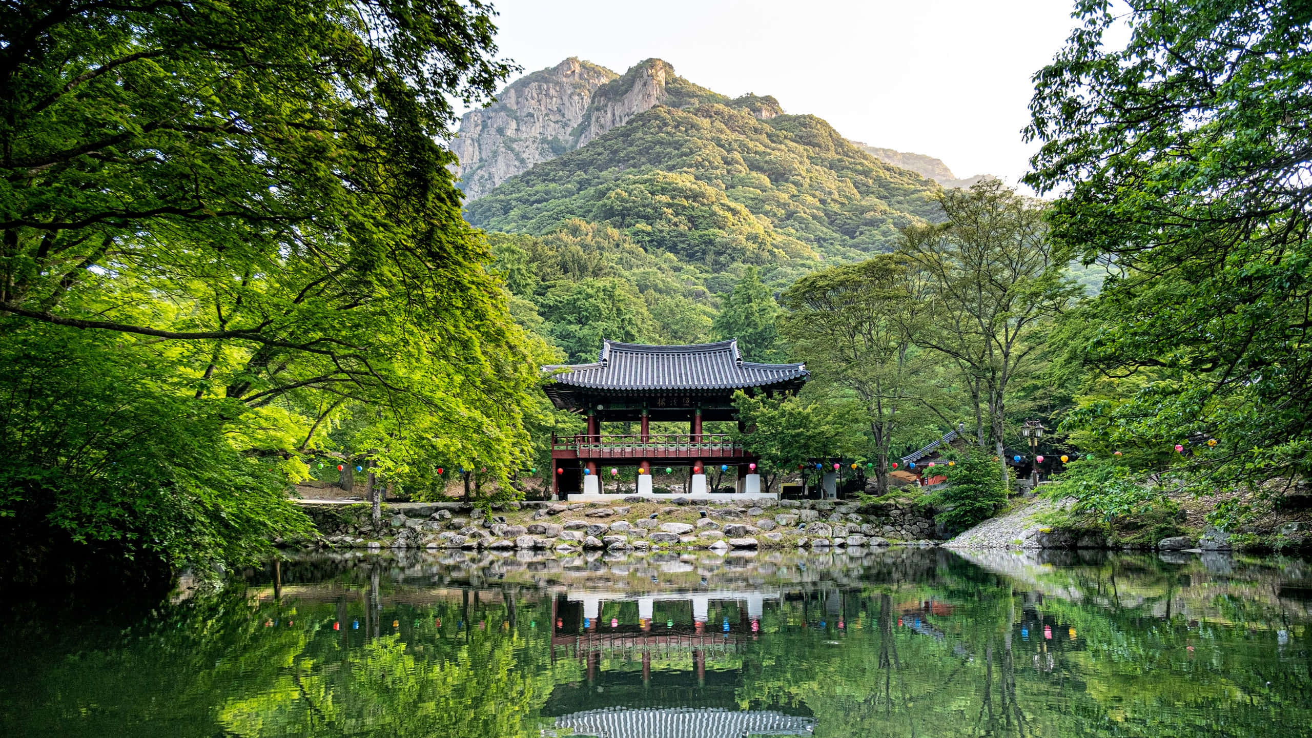 南韓 桌布 壁紙 — 一座傳統韓國亭閣寧靜地坐落在平靜的池塘邊，池塘倒映著茂密的綠樹和森林覆蓋的山脈，在柔和的光線下。