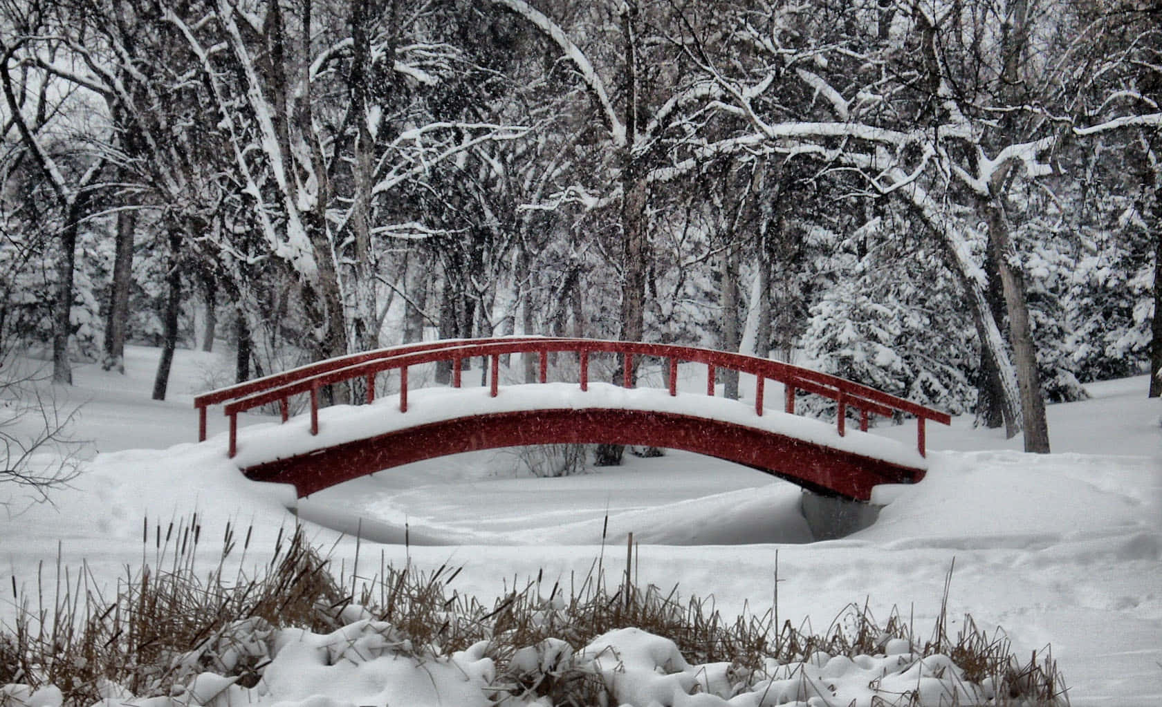 winter wonderland 桌布 壁紙 — 一座充滿活力的紅色拱橋被雪覆蓋，橫跨一條結冰的小溪，周圍是積雪的樹木。