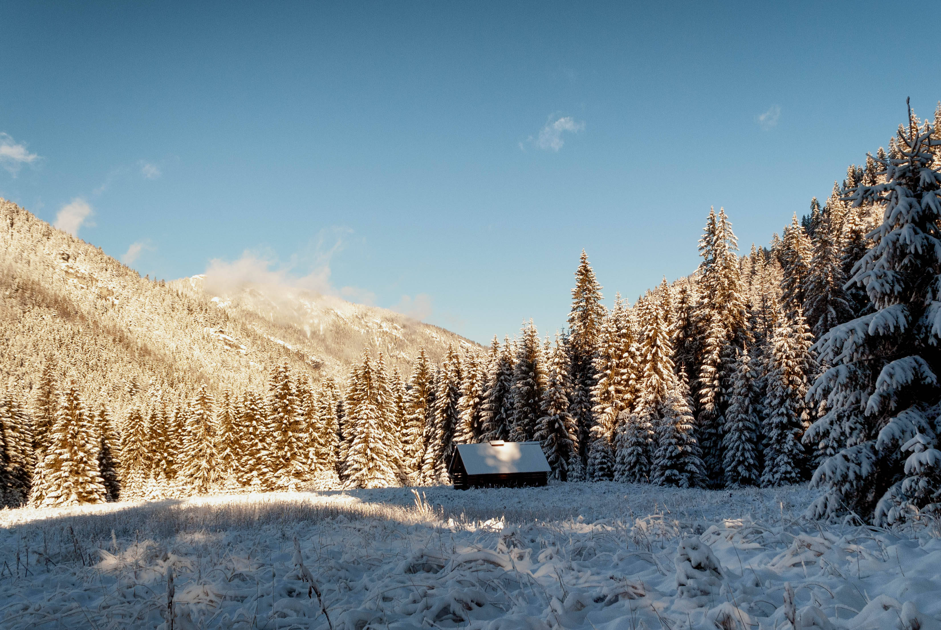 Slovakia 桌布 壁紙 — 一座孤獨的雪覆蓋小屋，隱藏在結霜的松樹之間，在清澈的藍色冬日天空下。
