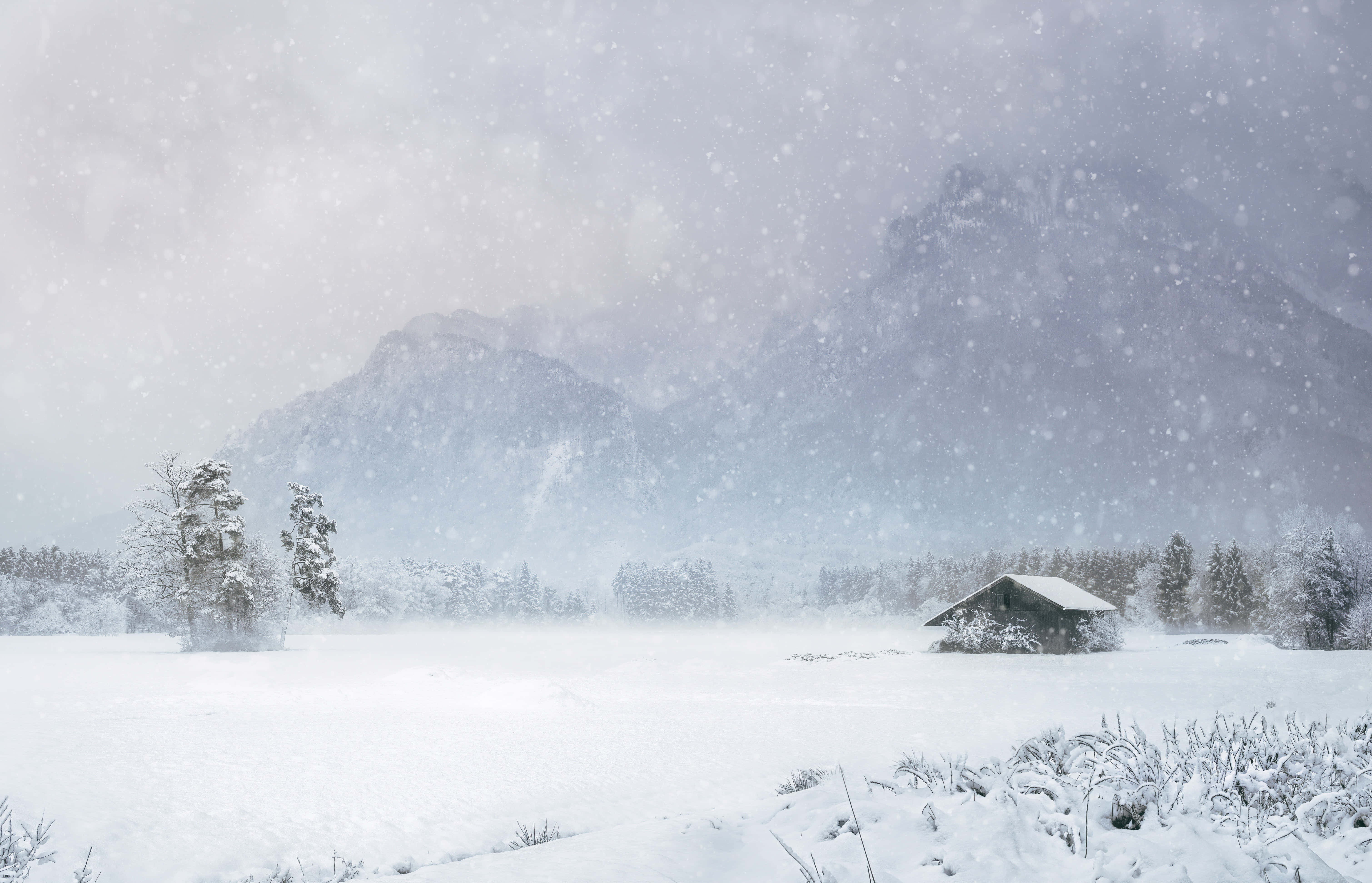 Winter 桌布 壁紙 — 一座孤獨的雪覆蓋的小屋，位於廣闊的雪原上，周圍是積雪的樹木和遠處的山脈，大雪紛飛。