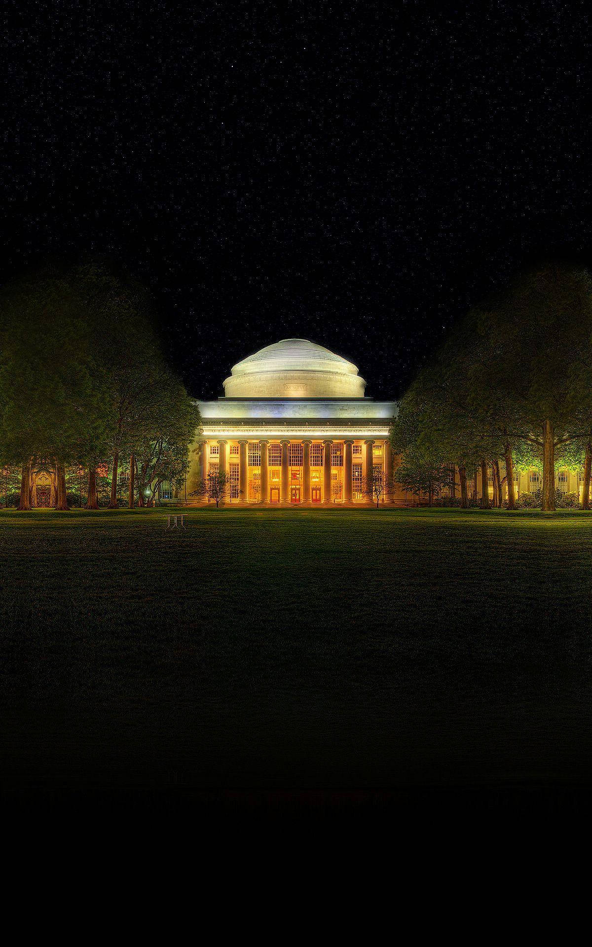 建築 桌布 壁紙 — 一座宏偉的圓頂大學建築在繁星點點的夜空下溫暖地發光，兩旁有深色樹木襯托。