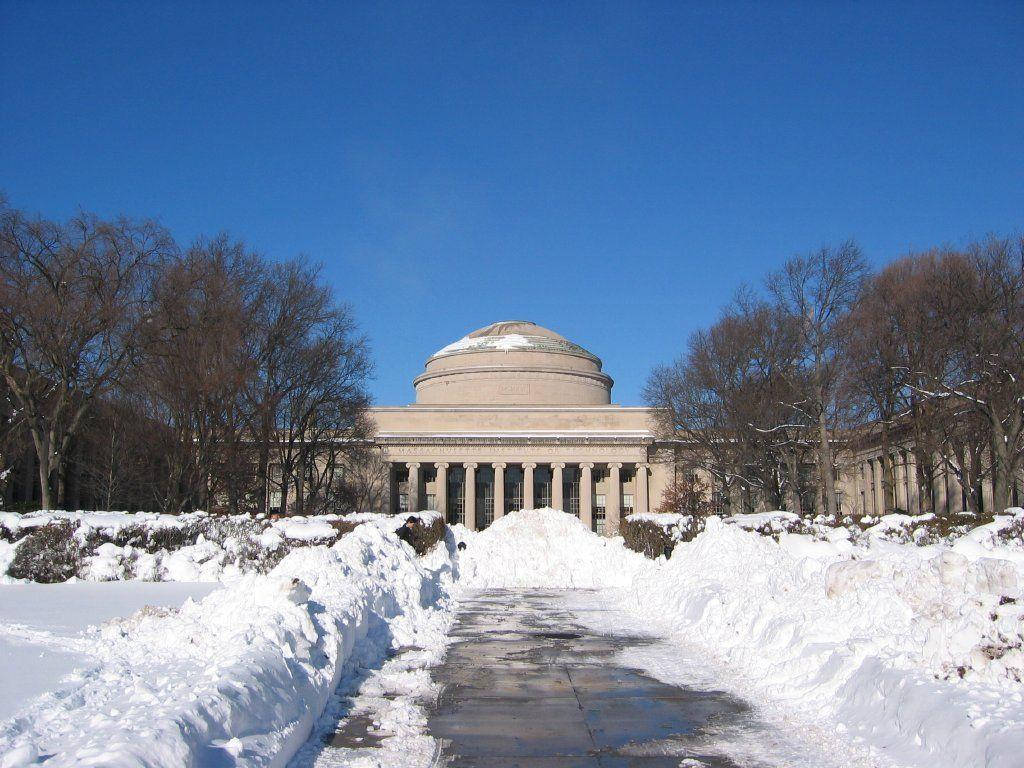 雪 桌布 壁紙 — 一座宏偉的圓頂大學建築矗立在清澈的藍天下，兩旁是積雪的樹木，一條剷過雪的小路通向入口。