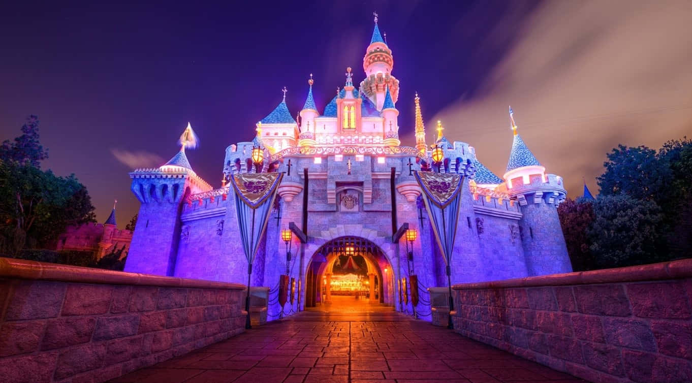 1366x768 Disney 桌布 壁紙 — 一座宏偉的城堡在夜晚被紫色和金色的燈光照亮，在通往宏偉入口的石橋上投射出神奇的光芒。