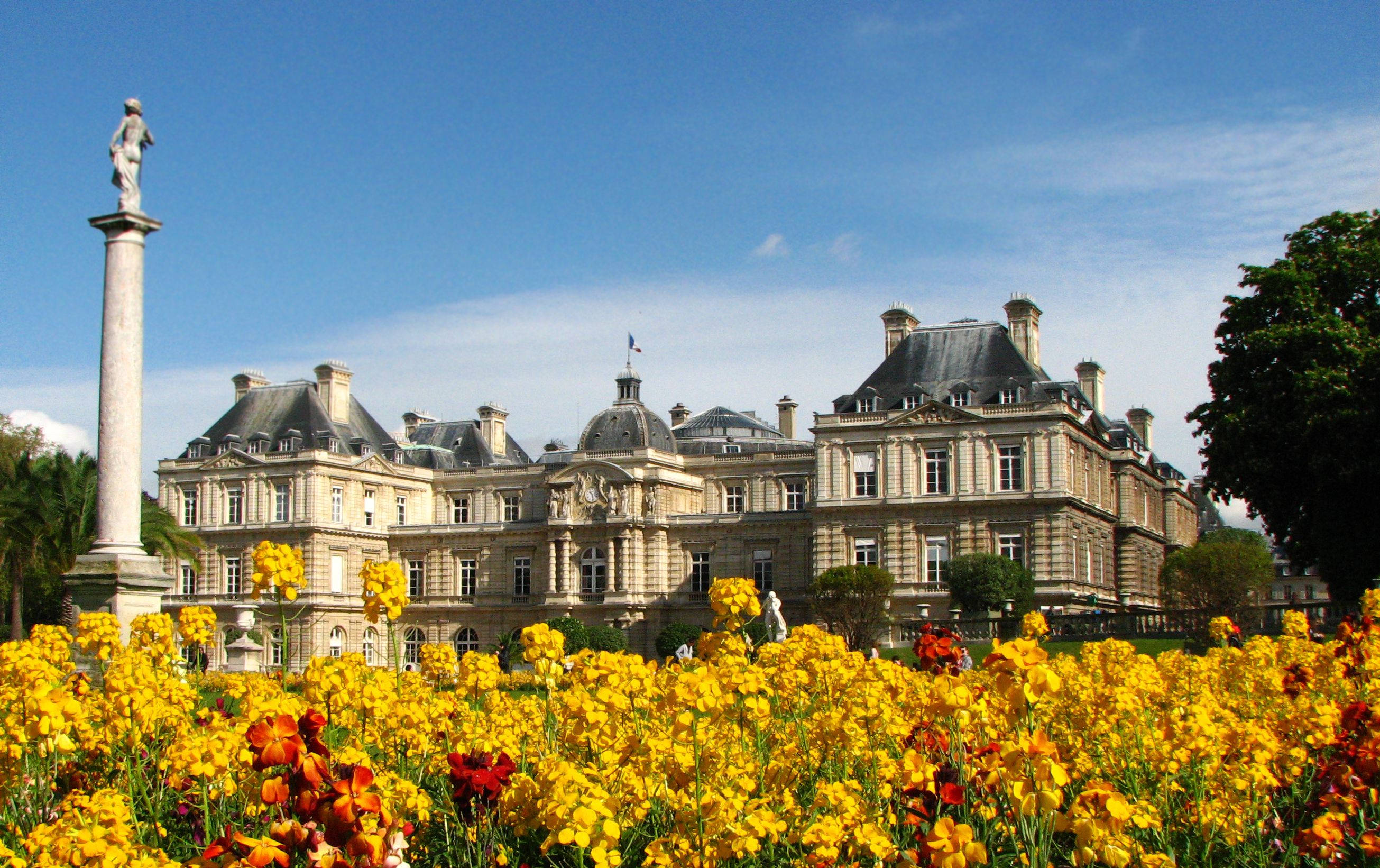 Luxembourg 桌布 壁紙 — 一座宏偉的新古典主義宮殿，柱子上有雕像，矗立在充滿活力的黃色和橙色花田後面，在晴朗的藍天下。