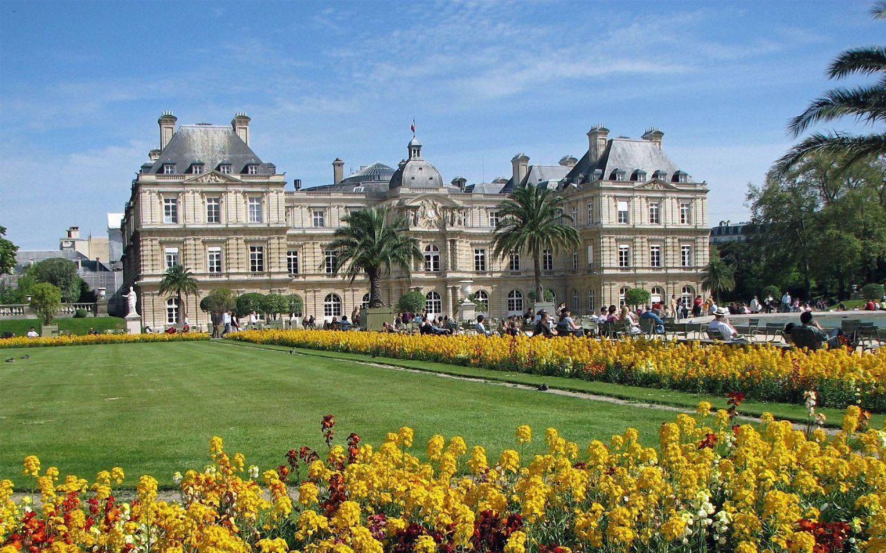 Luxembourg 桌布 壁紙 — 一座宏偉的新古典主義宮殿矗立在充滿活力的黃色花壇和修剪整齊的草坪後面，上方是清澈的藍天。