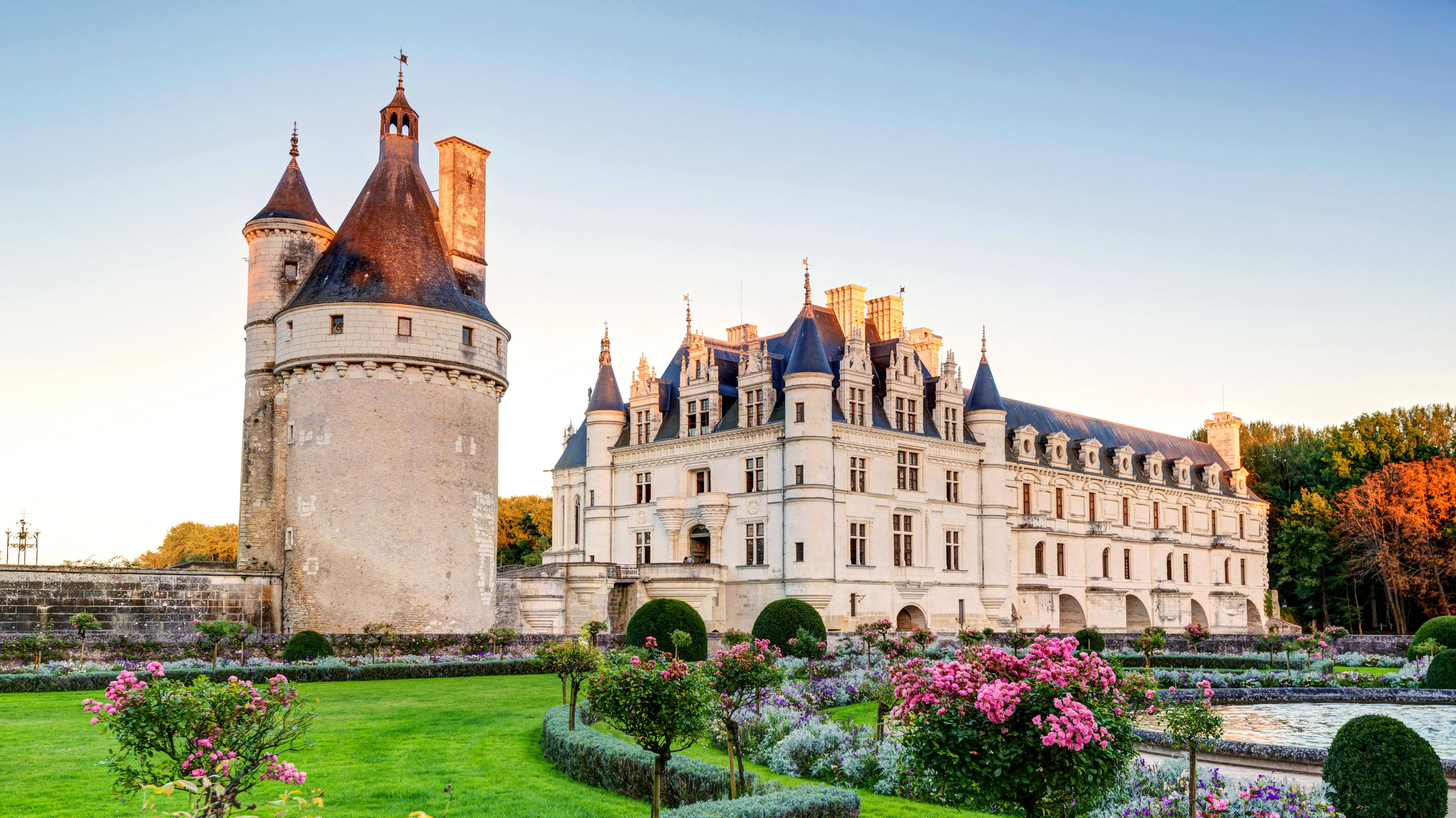 France 桌布 壁紙 — 一座宏偉的法國城堡，擁有石塔和藍色屋頂，在晴朗的天空下，雄偉地矗立於盛開著粉紅色花朵的修剪整齊的花園之中。