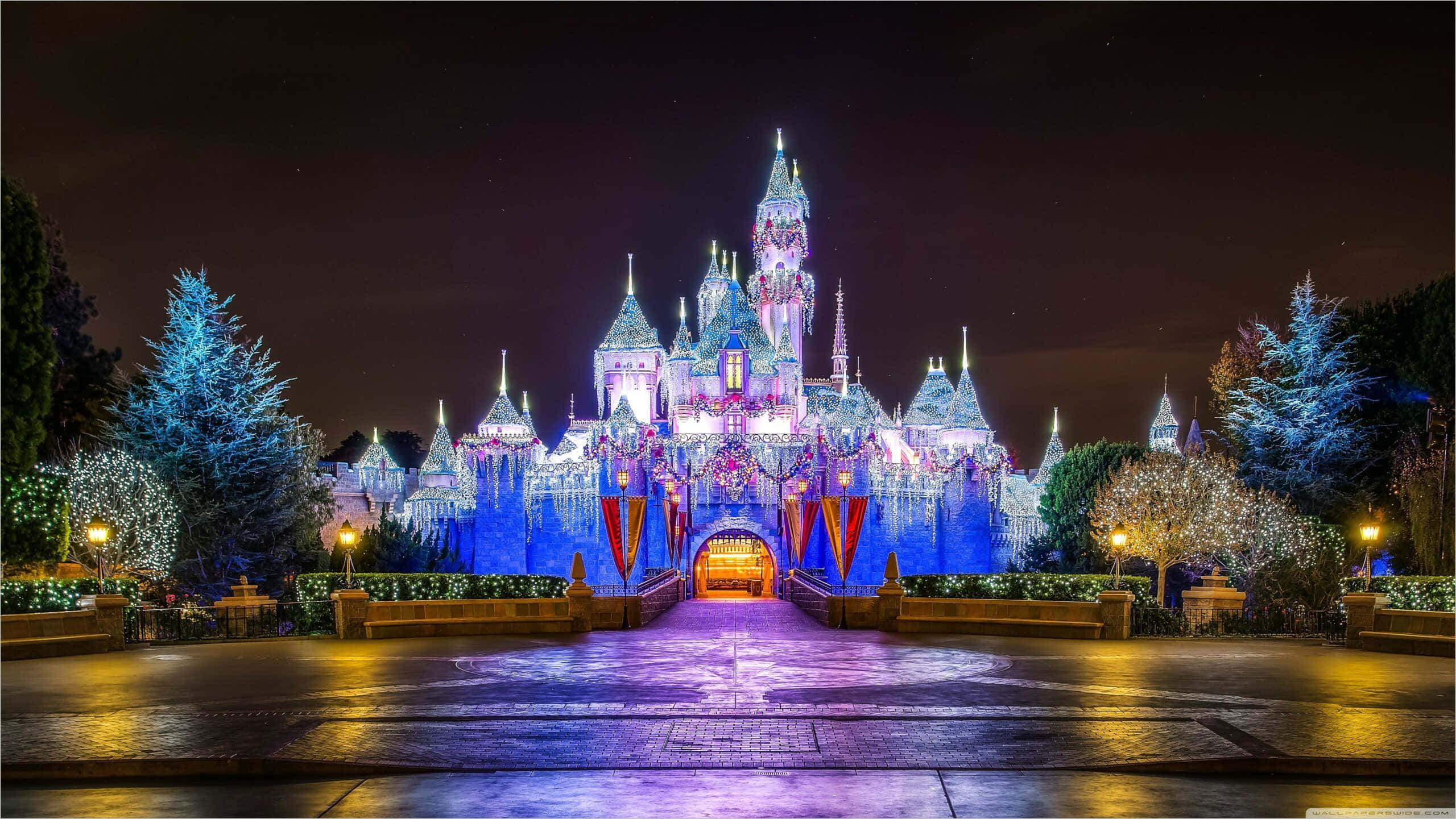 Disney World Desktop 桌布 壁紙 — 一座宏偉的燈光城堡在星空下閃耀著藍色和紫色的光芒，周圍環繞著節日樹木。