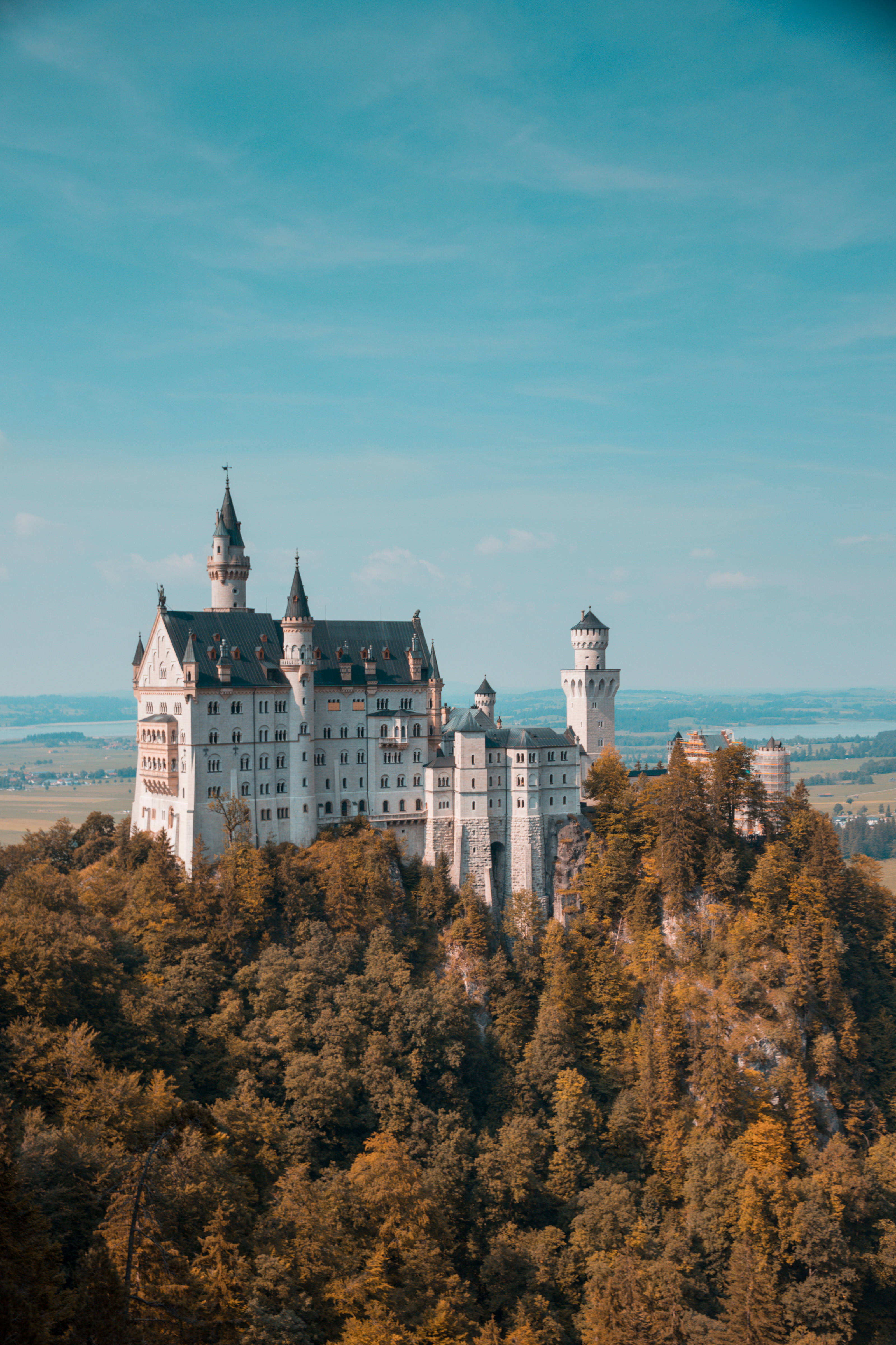 Neuschwanstein Castle 桌布 壁紙 — 一座宏偉的白色城堡，帶有尖塔，坐落在樹木繁茂的山丘上，在晴朗的藍天下。