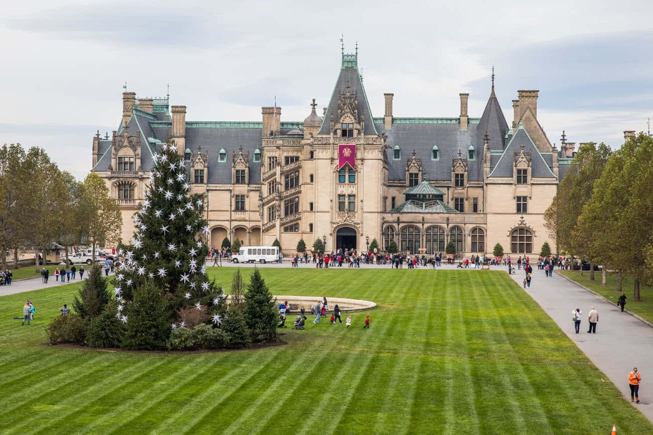 Biltmore Estate 桌布 壁紙 — 一座宏偉的石城堡，帶有塔樓和紅色旗幟，矗立在廣闊的條紋草坪後面，草坪上有裝飾好的聖誕樹和遊客。