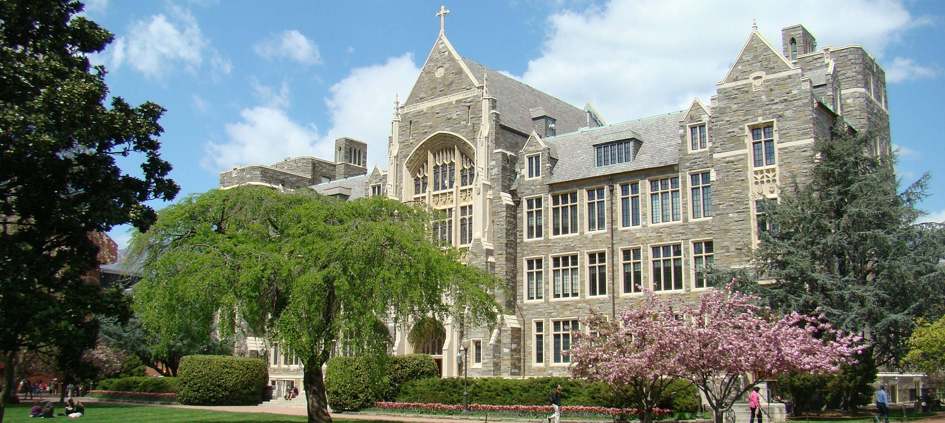 Building 桌布 壁紙 — 一座宏偉的石造哥德式大學建築矗立在明亮的藍天下，四周環繞著茂密的綠樹和盛開的粉紅色櫻花。