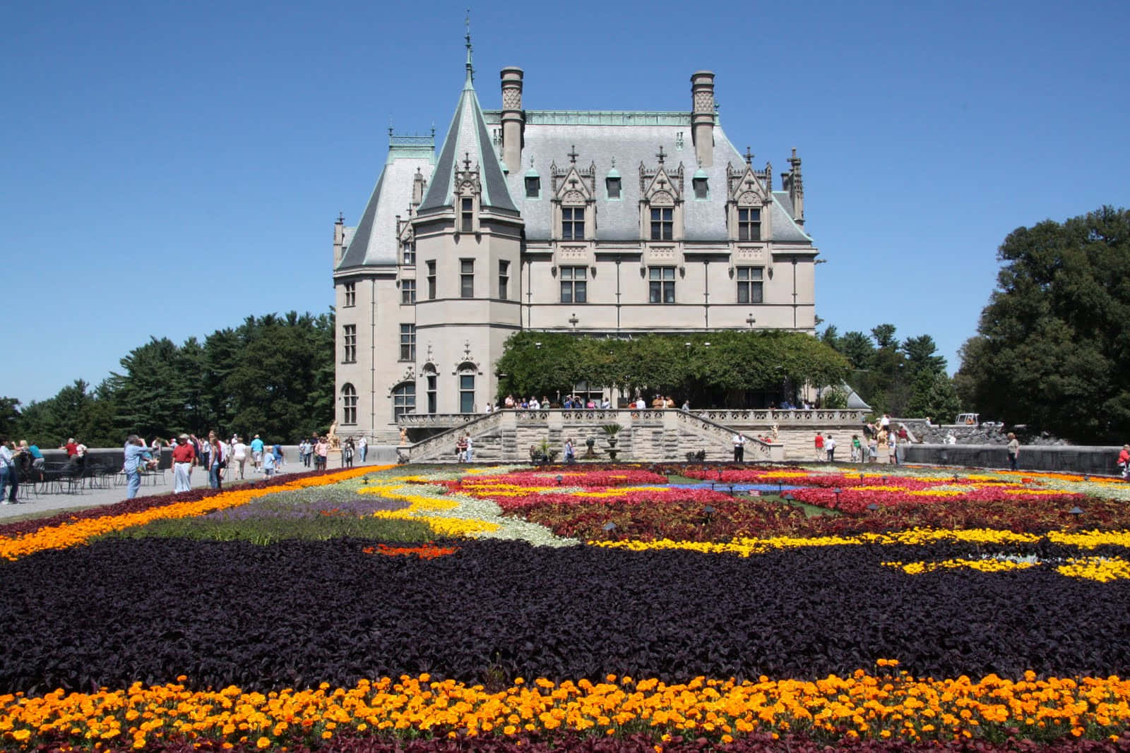 Biltmore Estate 桌布 壁紙 — 一座宏偉的石造城堡，帶有塔樓，矗立在色彩繽紛的花壇後方，背景是清澈的藍天。