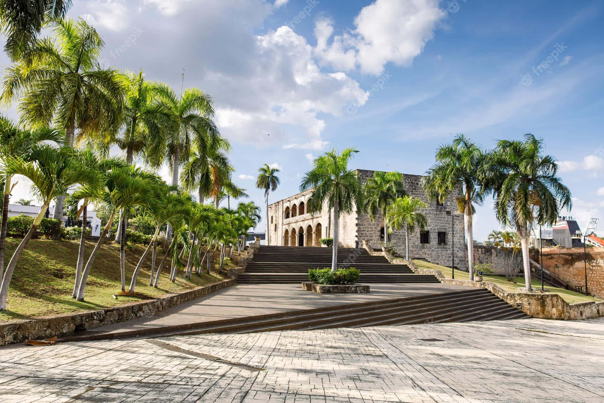 Museum 桌布 壁紙 — 一座宏偉的石造建築，帶有拱形窗戶，矗立在寬闊台階的頂端，兩旁種滿茂密的棕櫚樹，上方是明亮的藍天和蓬鬆的白雲。