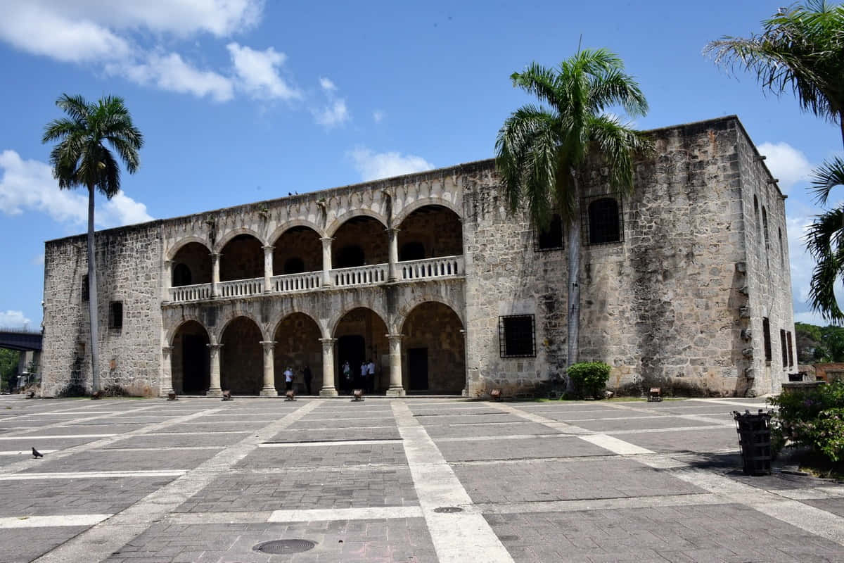 Museum 桌布 壁紙 — 一座宏偉的石造殖民風格建築，擁有拱形柱廊，矗立在明亮的藍天下，兩旁是高聳的棕櫚樹和鋪砌的廣場。
