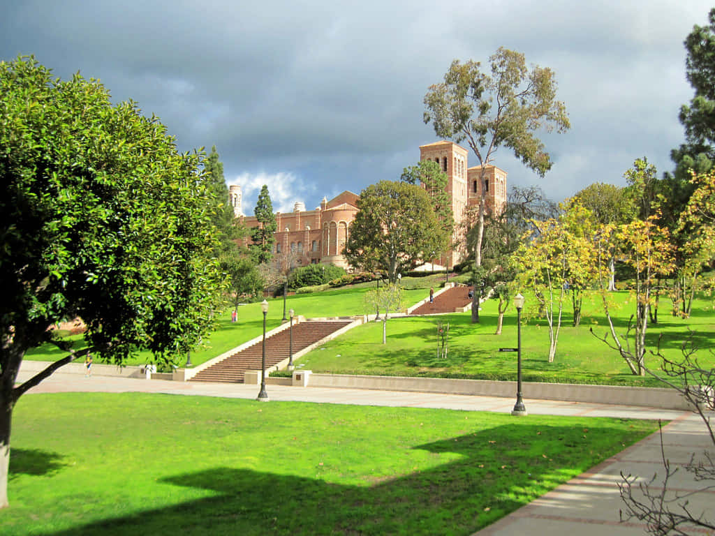 Ucla Campus 桌布 壁紙 — 一座宏偉的磚造大學建築，在戲劇性的多雲天空下，聳立在廣闊的綠色草坪和蜿蜒的石階之後。