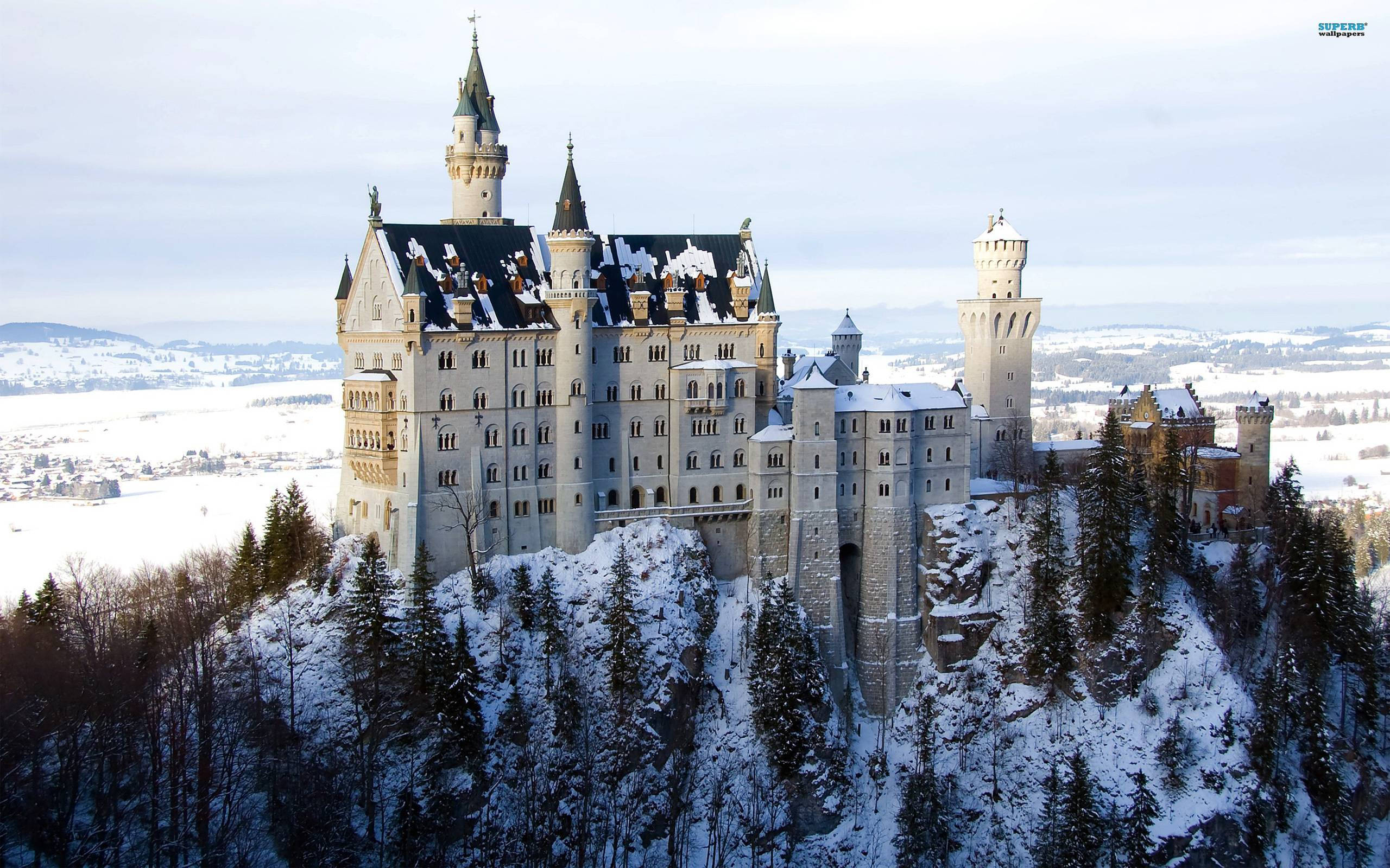 Neuschwanstein Castle 桌布 壁紙 — 一座宏偉的積雪城堡坐落在森林覆蓋的山丘頂上，俯瞰著蒼白冬日天空下的冰凍山谷。