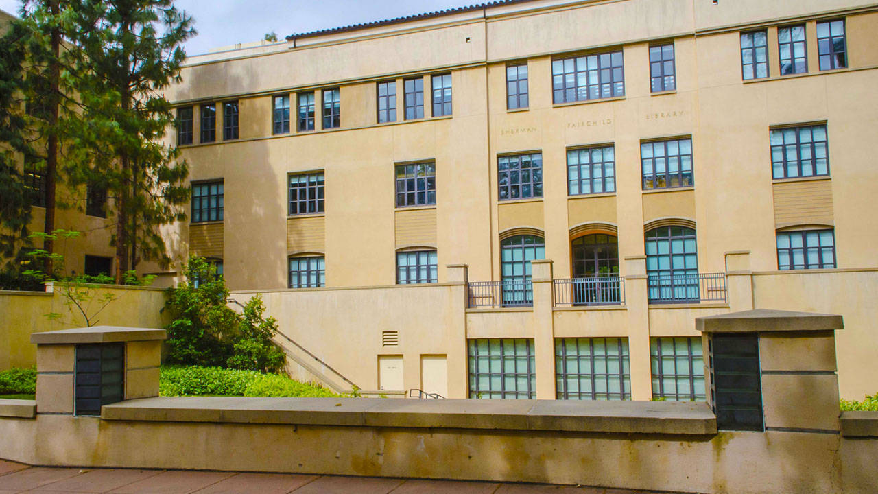 Building 桌布 壁紙 — 一座宏偉的米色圖書館建築，帶有拱形窗戶和石階，周圍環繞著茂密的綠樹，天空明亮。
