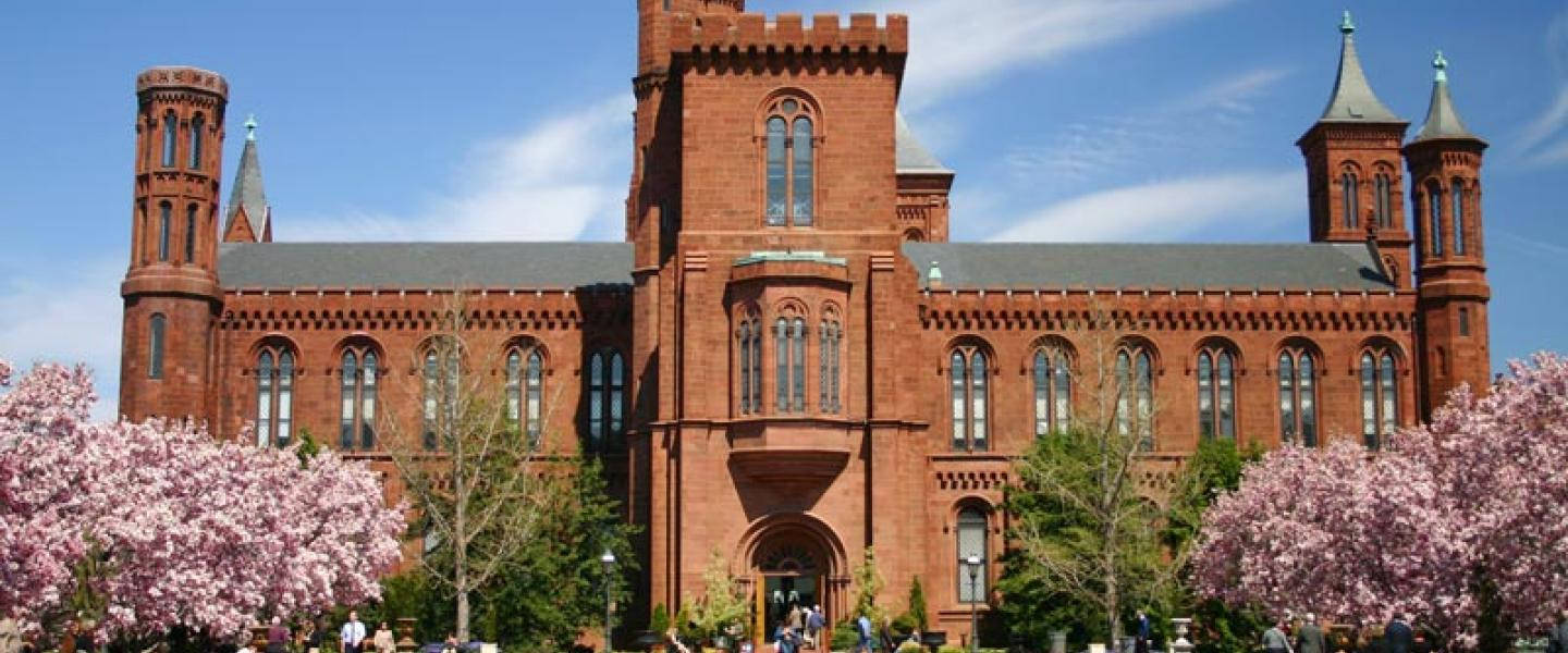 Smithsonian 桌布 壁紙 — 一座宏偉的紅磚哥德復興式建築，在晴朗的藍天下被盛開的粉紅色櫻花樹環繞。
