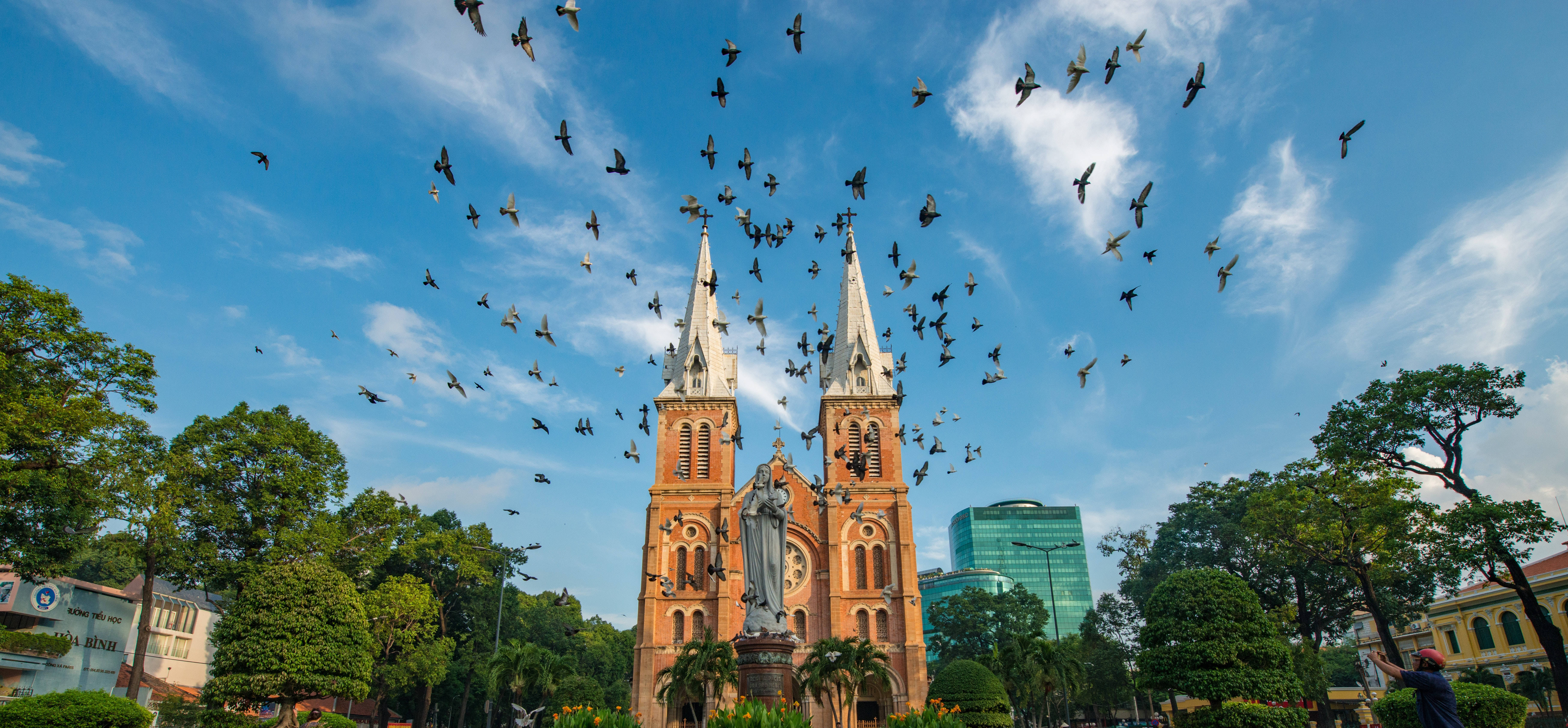 Ho Chi Minh City 桌布 壁紙 — 一座宏偉的紅磚教堂，擁有雙塔，矗立在明亮的藍天下，一群鳥兒在頭頂翱翔。
