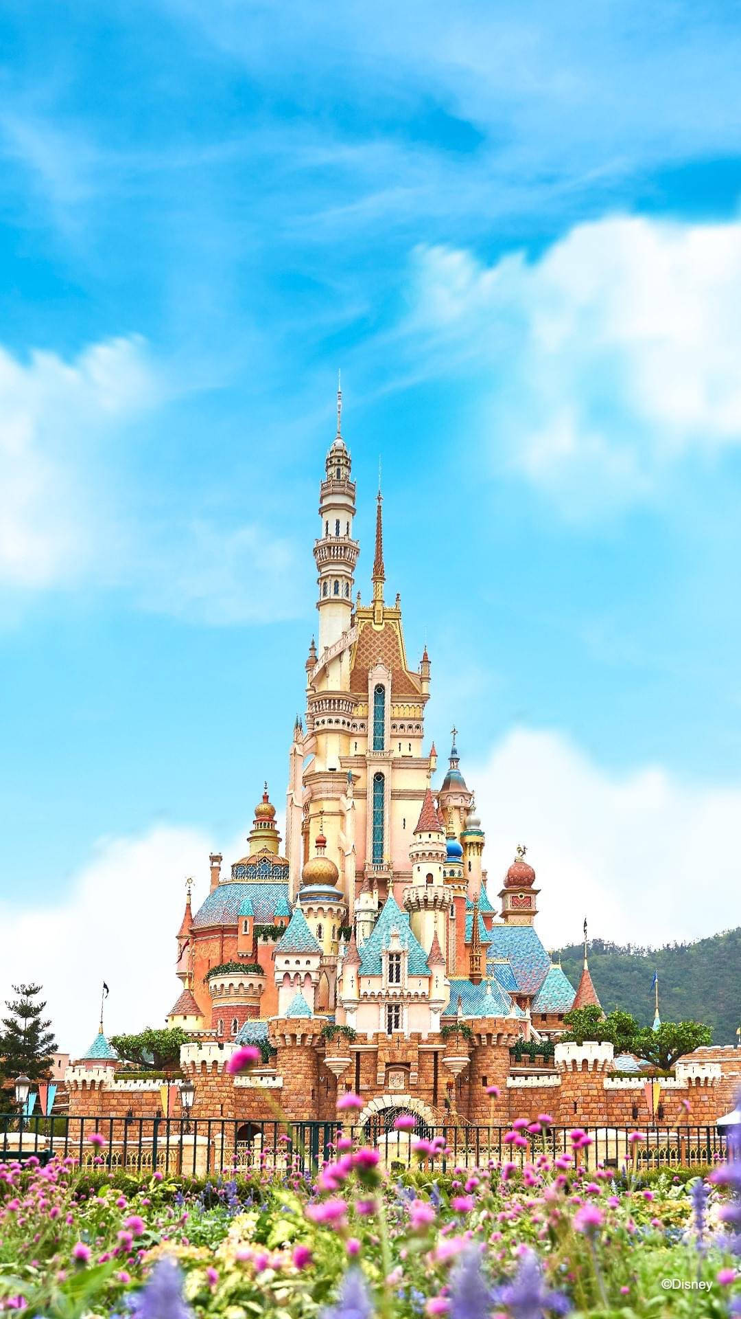 Disneyland Castle 桌布 壁紙 — 一座宏偉的迪士尼城堡，擁有藍色瓷磚屋頂和金色尖塔，聳立在充滿活力的紫色和粉色花壇之上，背景是明亮的藍天和蓬鬆的白雲。