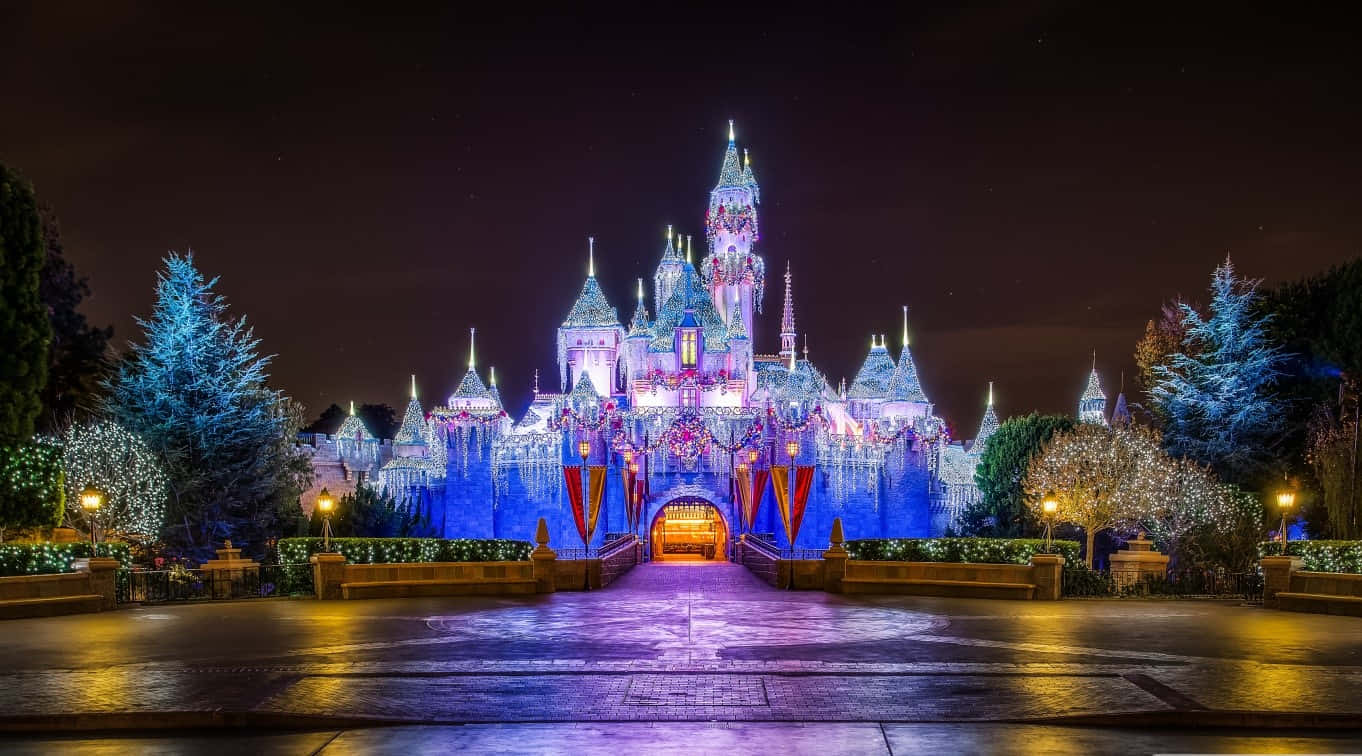 Disneyland Castle 桌布 壁紙 — 一座宏偉的迪士尼城堡在深色夜空和節日樹木的襯托下，被鮮豔的藍色和紫色燈光照亮。
