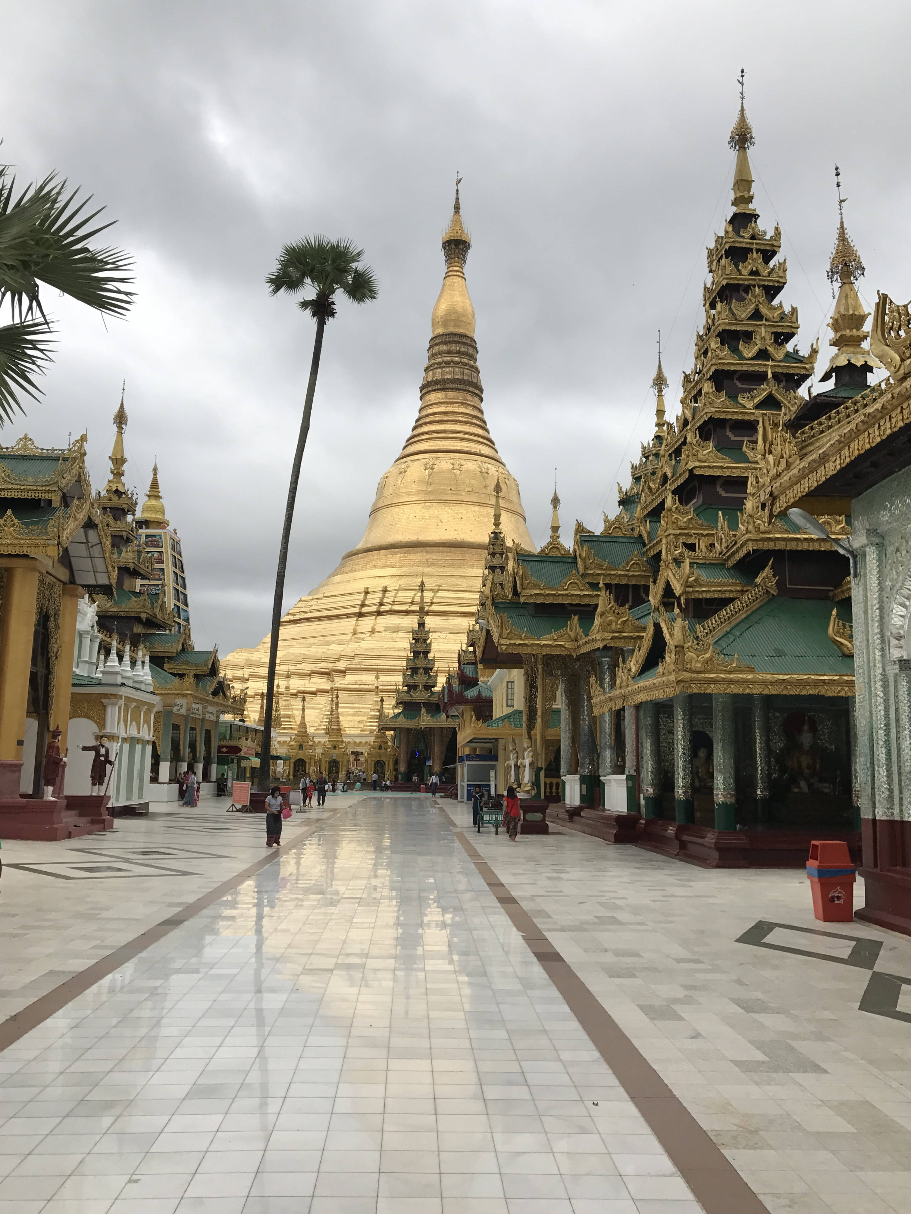 Yangon 桌布 壁紙 — 一座宏偉的金色寶塔在陰天聳立，兩旁是華麗的寺廟和棕櫚樹，濕漉漉的瓷磚步道延伸其間。