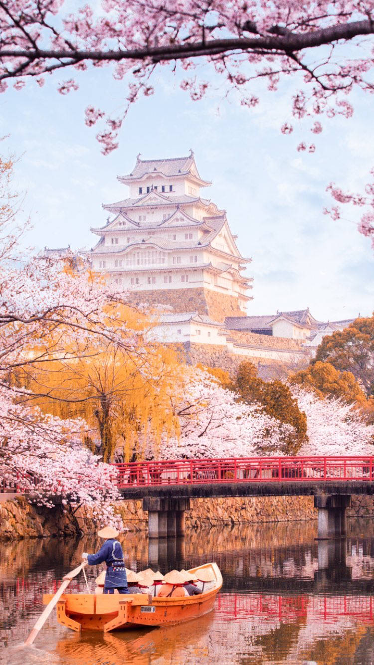 Himeji Castle 桌布 壁紙 — 一座寧靜的日本城堡，被粉紅色的櫻花環繞，平靜的水面上，一名船夫在紅色橋下划船。