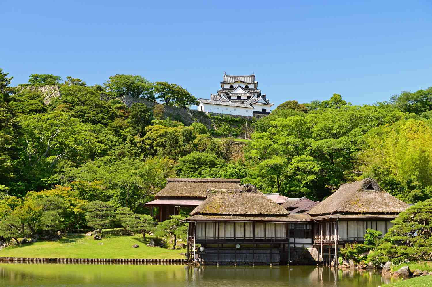 Scenery 桌布 壁紙 — 一座寧靜的日本城堡坐落在鬱鬱蔥蔥的綠色山丘上，俯瞰著傳統茅草屋頂建築，旁邊是平靜的池塘，天空清澈湛藍。