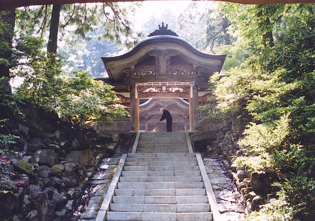 灰色美學動圖 桌布 壁紙 — 一座寧靜的日本神社坐落在茂密的綠色森林中，石階通往傳統的木門。