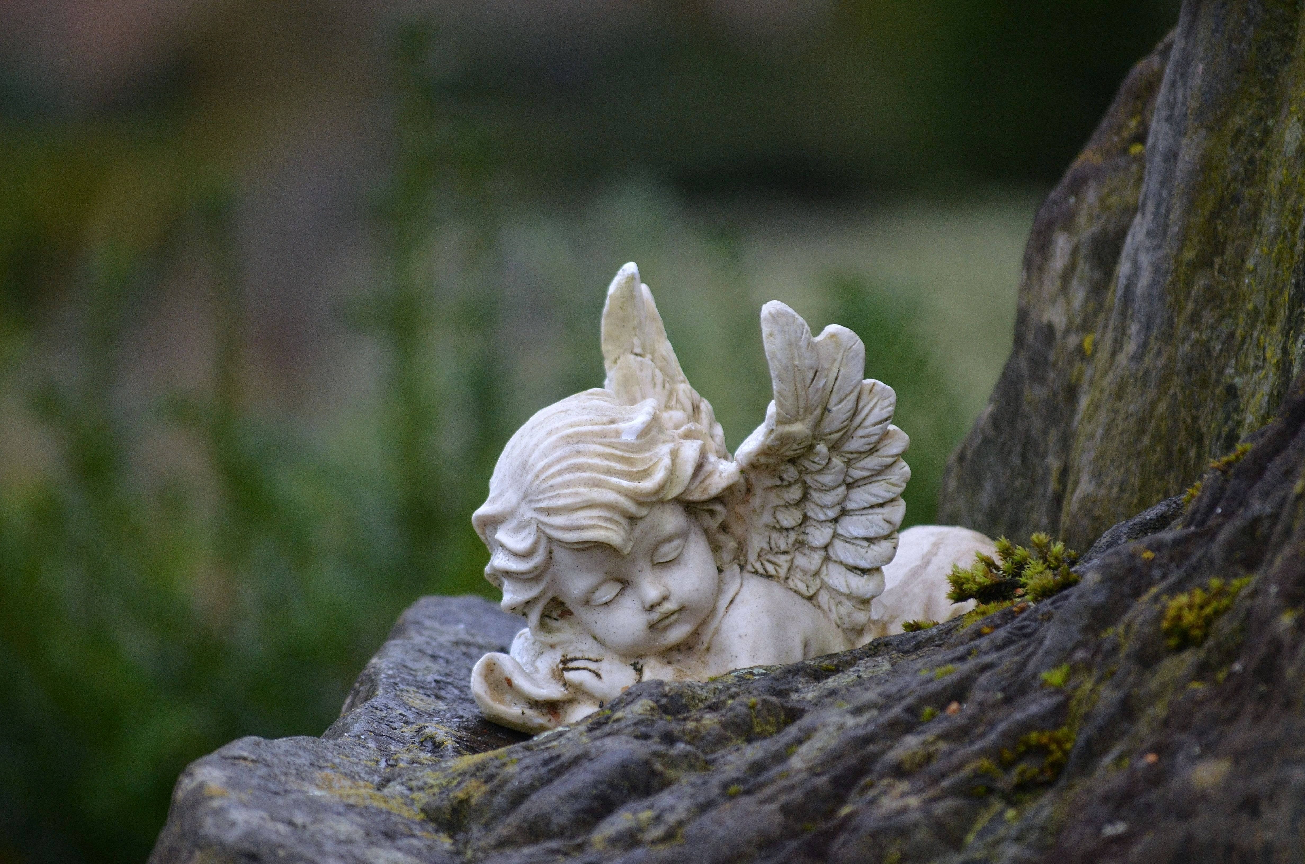 Sculpture 桌布 壁紙 — 一座寧靜的白色石天使雕像安詳地躺在花園中長滿苔蘚的石頭上。