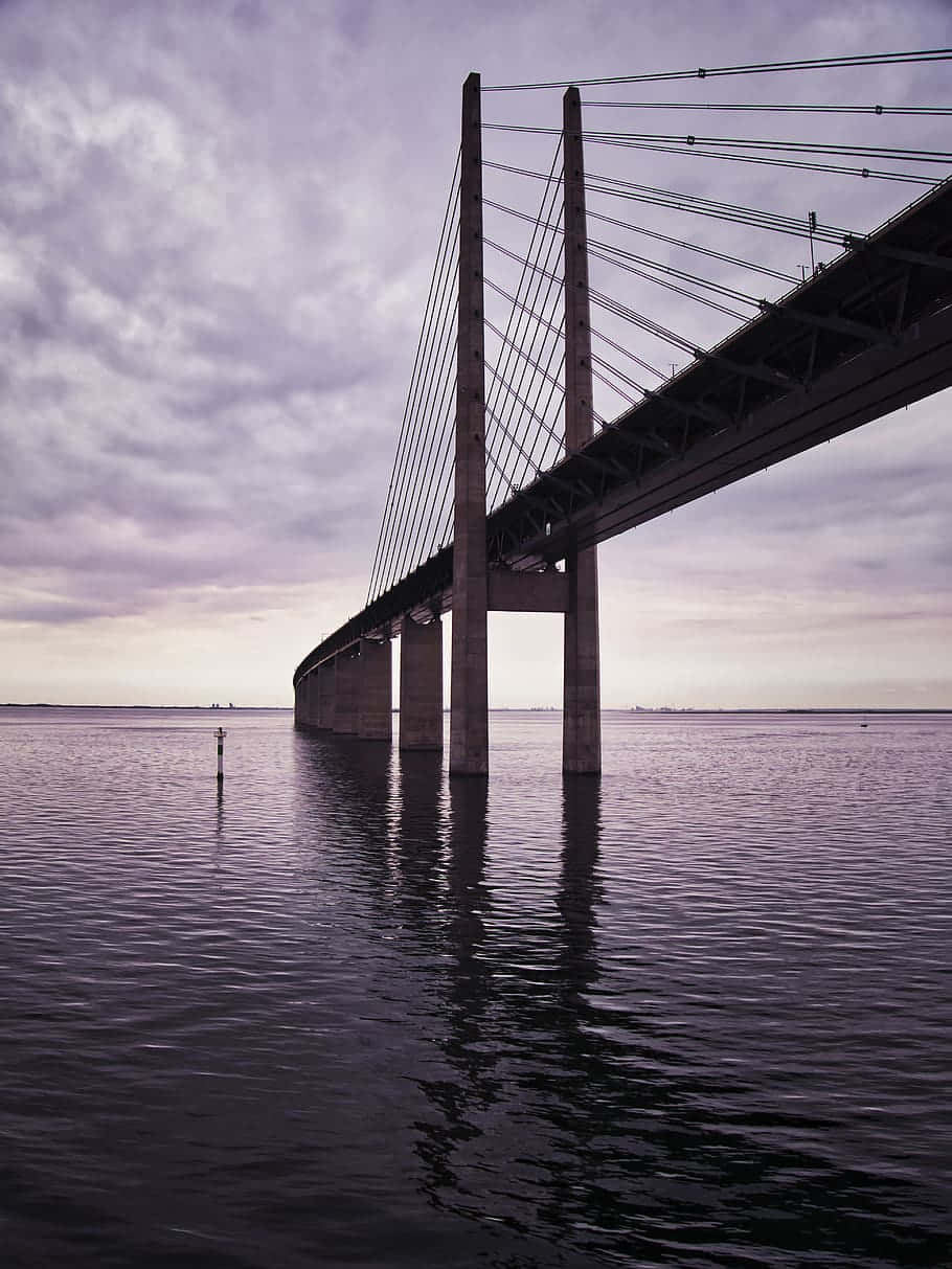 Denmark 桌布 壁紙 — 一座巨大的斜張橋在憂鬱的紫色暮色天空下延伸在平靜的水面上。