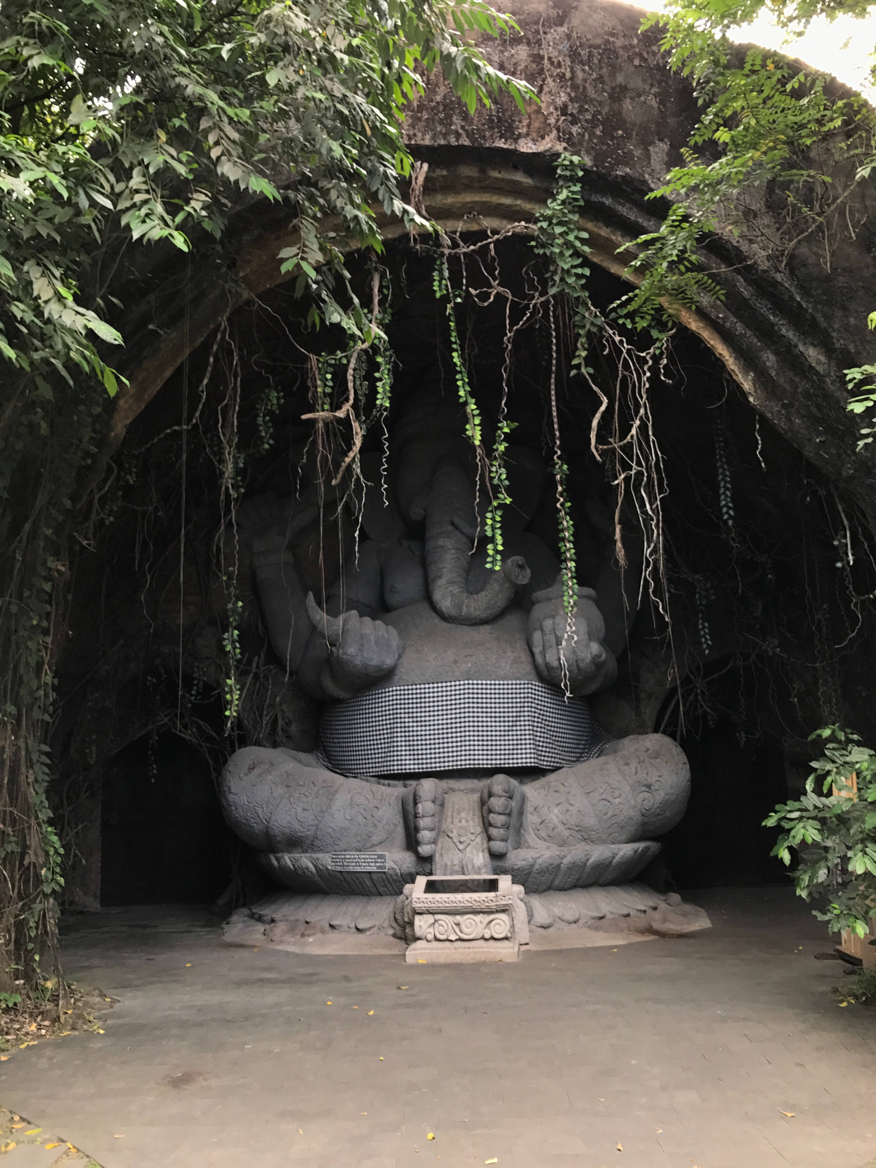 ganesh 4K 桌布 壁紙 — 一座巨大的石頭象神雕像安詳地坐在長滿苔蘚的洞穴中，披著格子布，周圍環繞著茂密的綠色藤蔓和樹葉。