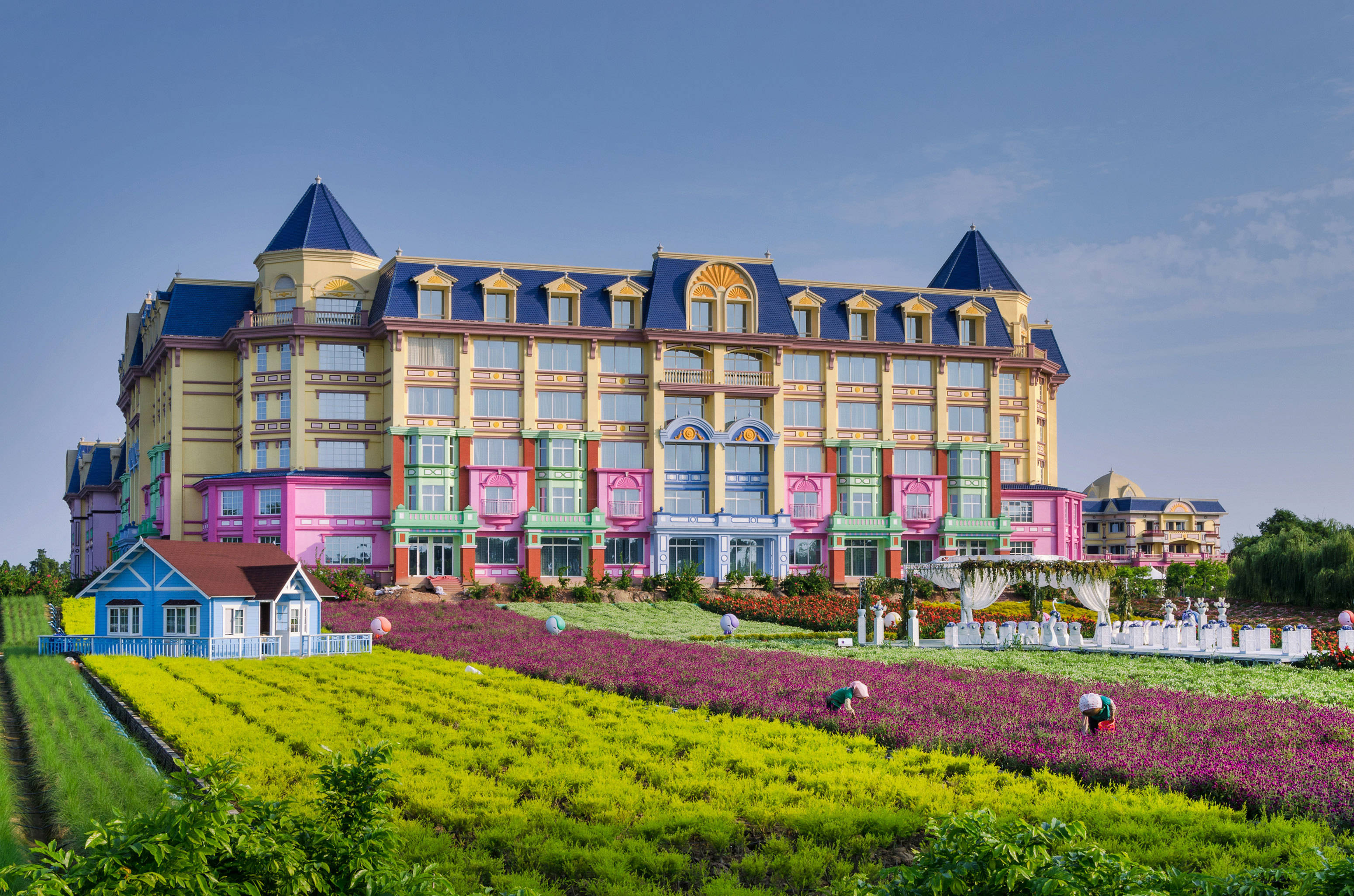 Guangzhou 桌布 壁紙 — 一座巨大的粉彩城堡式酒店矗立在充滿活力的紫色和黃色花叢後面，背景是清澈的藍天。