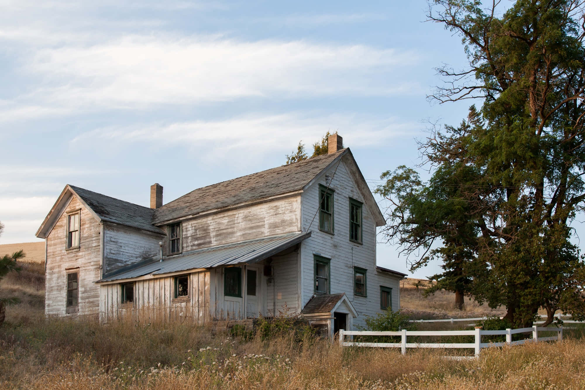 Old Farm 桌布 壁紙 — 一座帶綠色百葉窗的風化白色農舍，在柔和的藍天和縷縷白雲下，獨自矗立在金色的田野中。