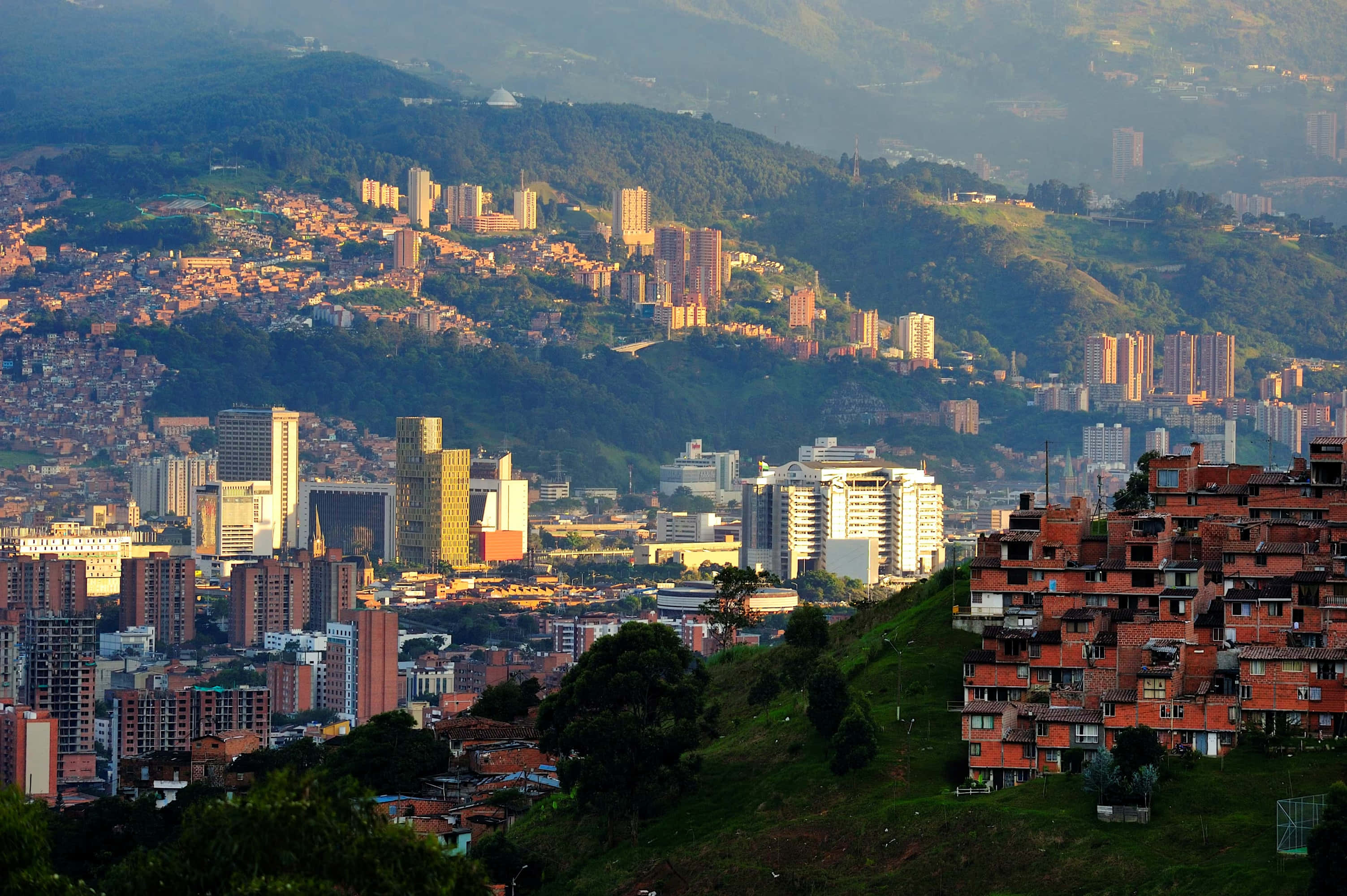 Colombia 桌布 壁紙 — 一座廣闊的城市依附在起伏的綠色山丘上，沐浴在溫暖的金色陽光下，密集的城市群和現代塔樓在霧濛濛的山巒襯托下聳立。