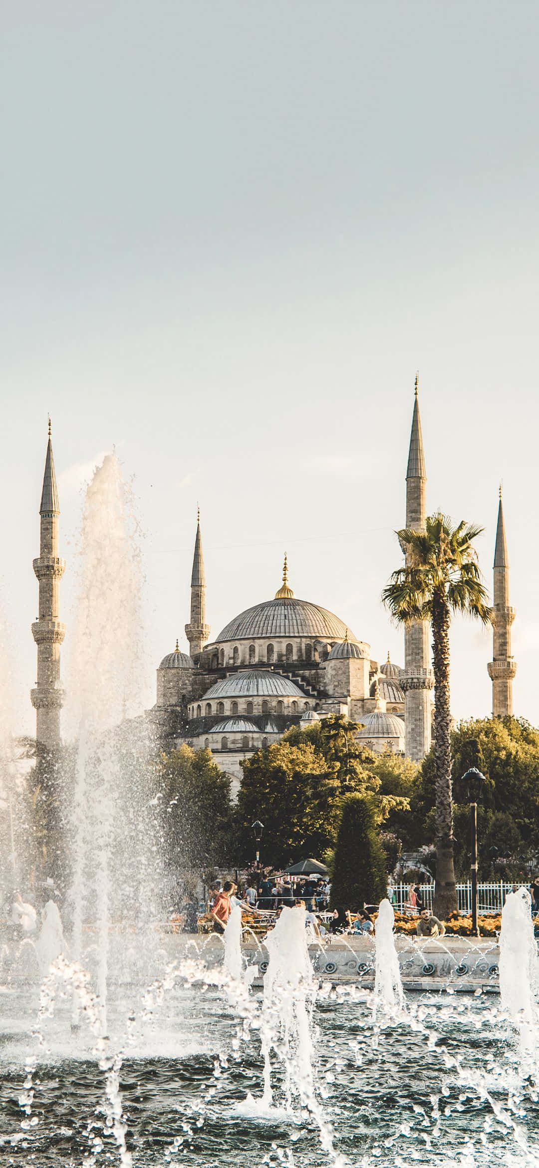 Tree 桌布 壁紙 — 一座擁有六座宣禮塔和一個大圓頂的宏偉清真寺，矗立在晴朗天空下一個生機勃勃的噴泉後面。