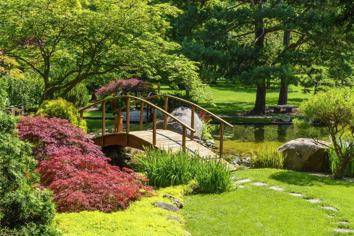 Nature Garden 桌布 壁紙 — 一座木拱橋橫跨在一個寧靜的池塘上，周圍是茂密的日本花園，有鮮紅色的楓樹叢和長滿苔蘚的石頭。