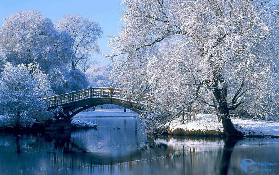 High Resolution Snow 桌布 壁紙 — 一座木拱橋橫跨平靜的河流，兩旁是白雪覆蓋的樹木，上方是清澈的藍天。