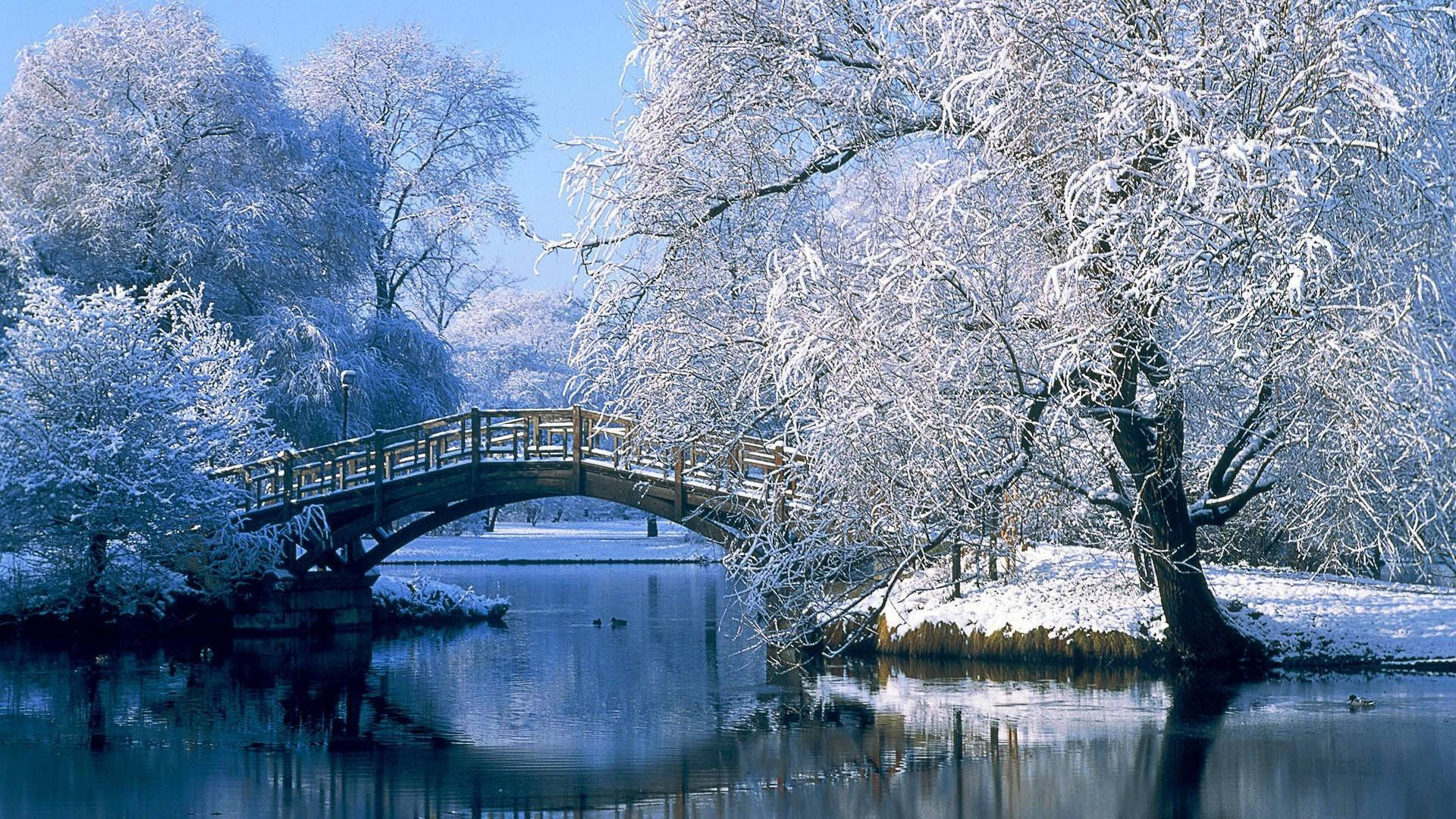 冬天 桌布 壁紙 — 一座木拱橋橫跨平靜的河流，周圍是白雪覆蓋的樹木，在清澈的藍天下。