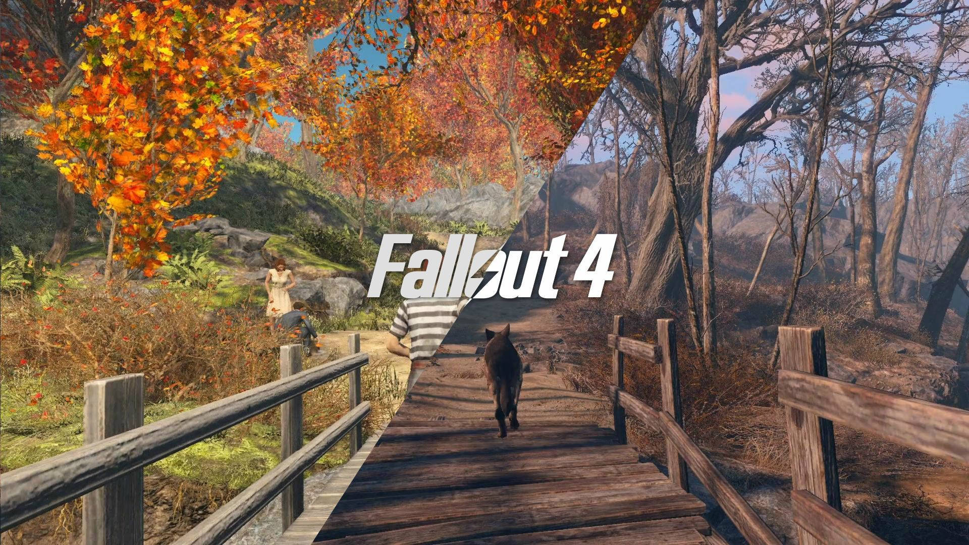 Fallout 4 桌布 壁紙 — 一座木橋將 Fallout 4 中充滿活力的秋日森林場景與荒蕪的荒地分開。