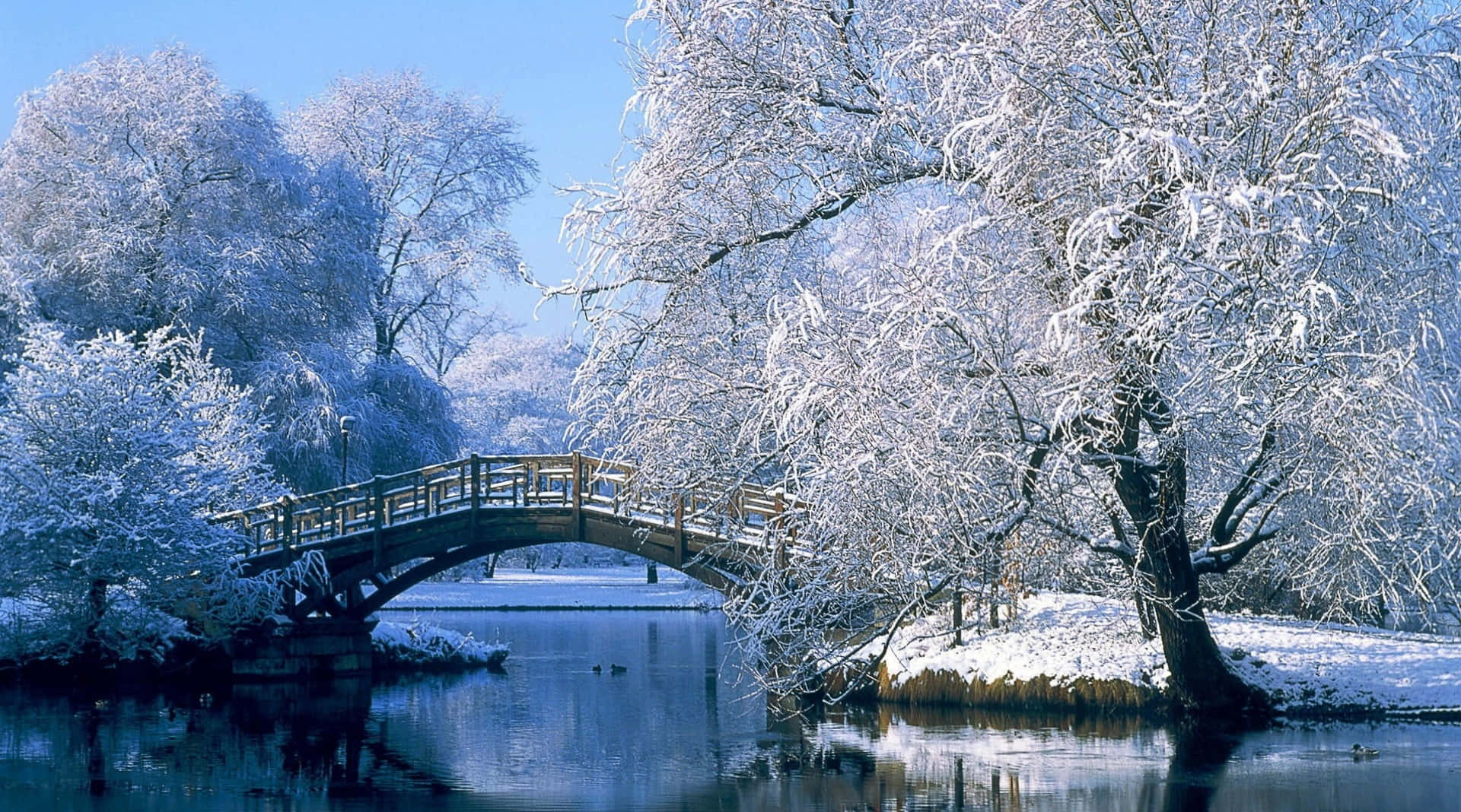 Snowy 桌布 壁紙 — 一座木橋拱起在平靜的河面上，周圍是白雪覆蓋的樹木，在清澈的藍色冬日天空下。