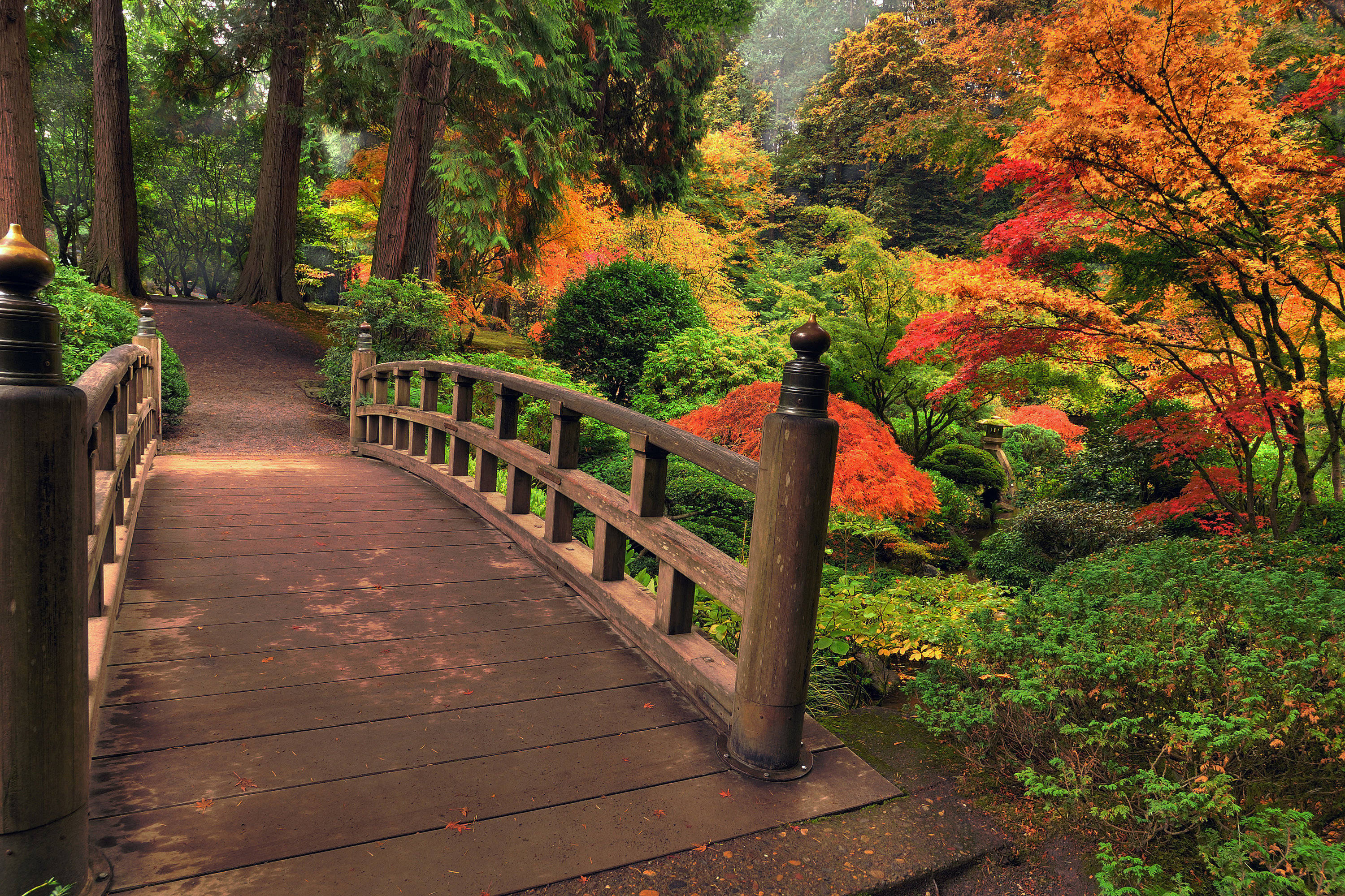 公園 桌布 壁紙 — 一座木橋拱起在長滿苔蘚的小徑上，位於充滿活力的秋日花園中，有火紅和橙色的樹葉。