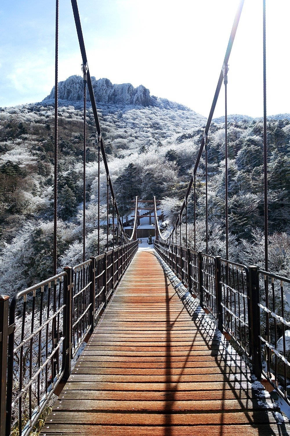 Jeju 桌布 壁紙 — 一座木製吊橋在明亮的冬日陽光下橫跨白雪覆蓋的山谷。