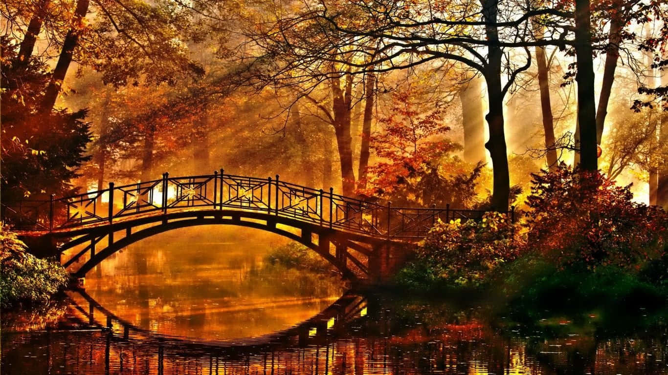 Perfect Fall 桌布 壁紙 — 一座木製拱橋橫跨在煙霧瀰漫的秋日池塘上，周圍是火紅的橙色和金色樹葉。