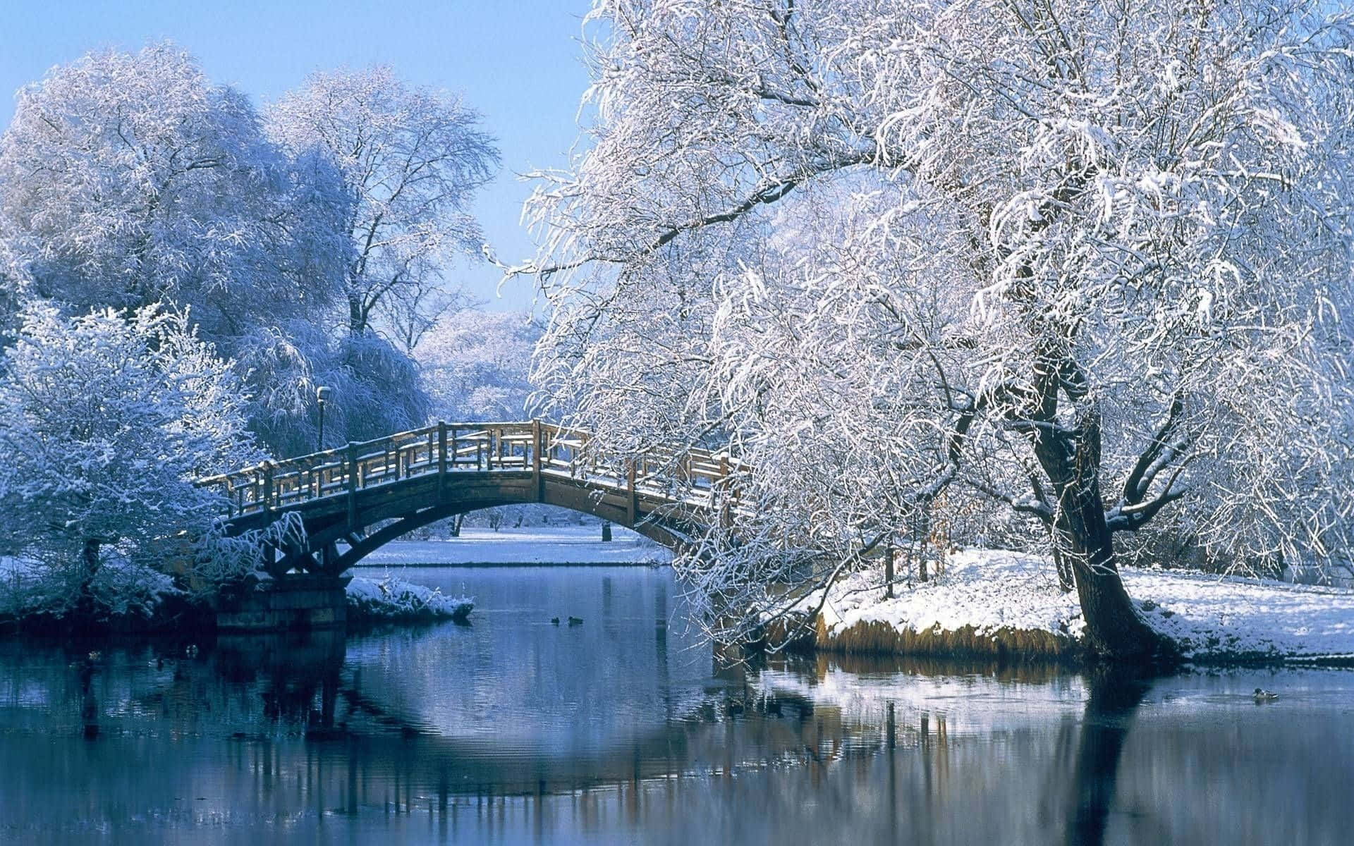 Laptop Winter 桌布 壁紙 — 一座木製拱橋橫跨平靜的冬季河流，周圍是白雪覆蓋的樹木，在清澈的藍天下。
