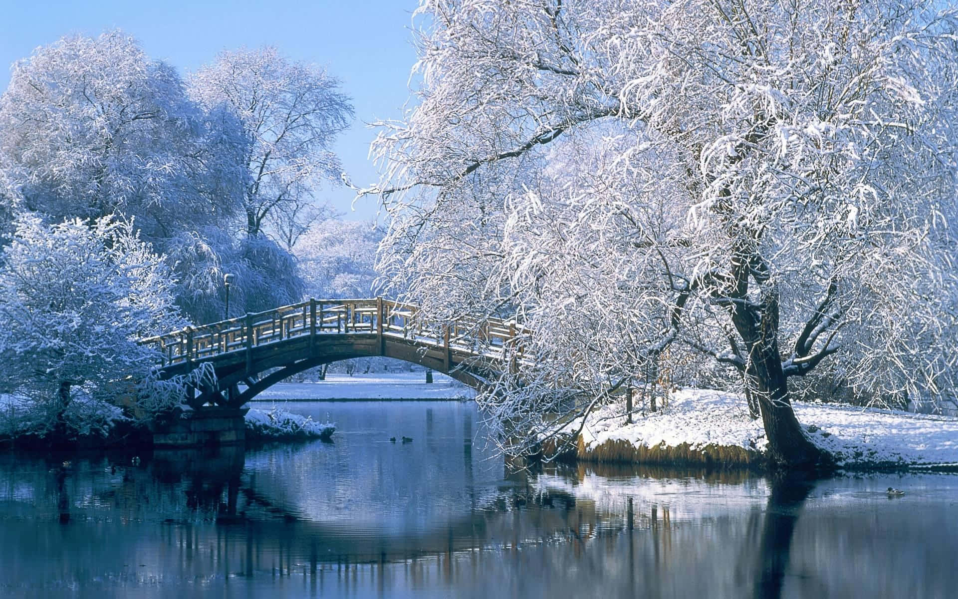 Winter Scenery Desktop 桌布 壁紙 — 一座木製拱橋橫跨平靜的冬日河流，周圍是白雪覆蓋的樹木，天空清澈湛藍。