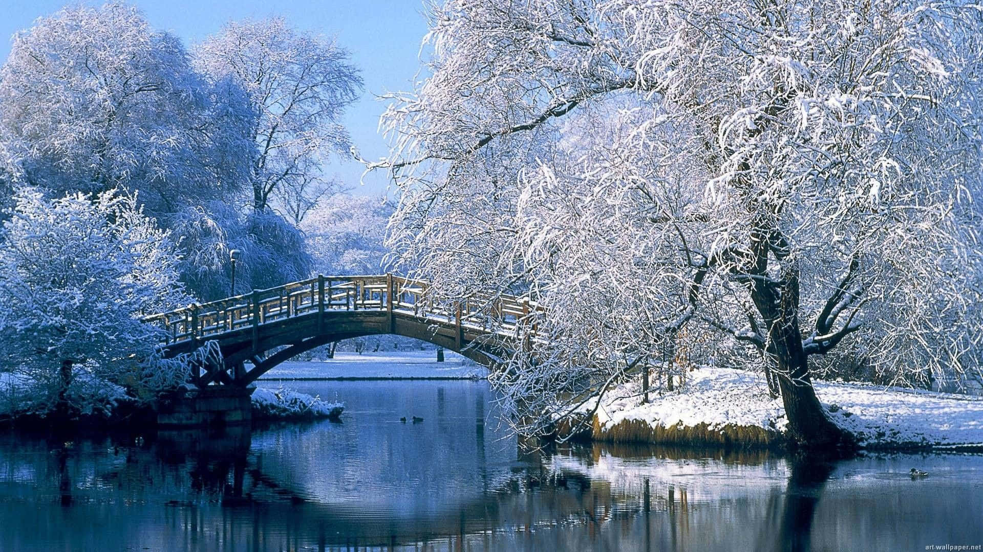 雪 桌布 壁紙 — 一座木製拱橋橫跨平靜的河流，周圍是白雪覆蓋的樹木，在清澈的藍天下。
