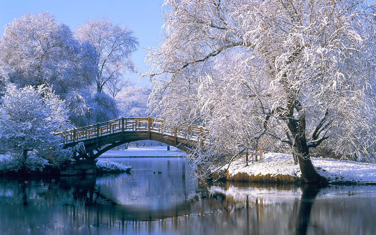 Beautiful Winter 桌布 壁紙 — 一座木製拱橋橫跨平靜的河流，周圍是白雪覆蓋的樹木，在清澈的藍天下。