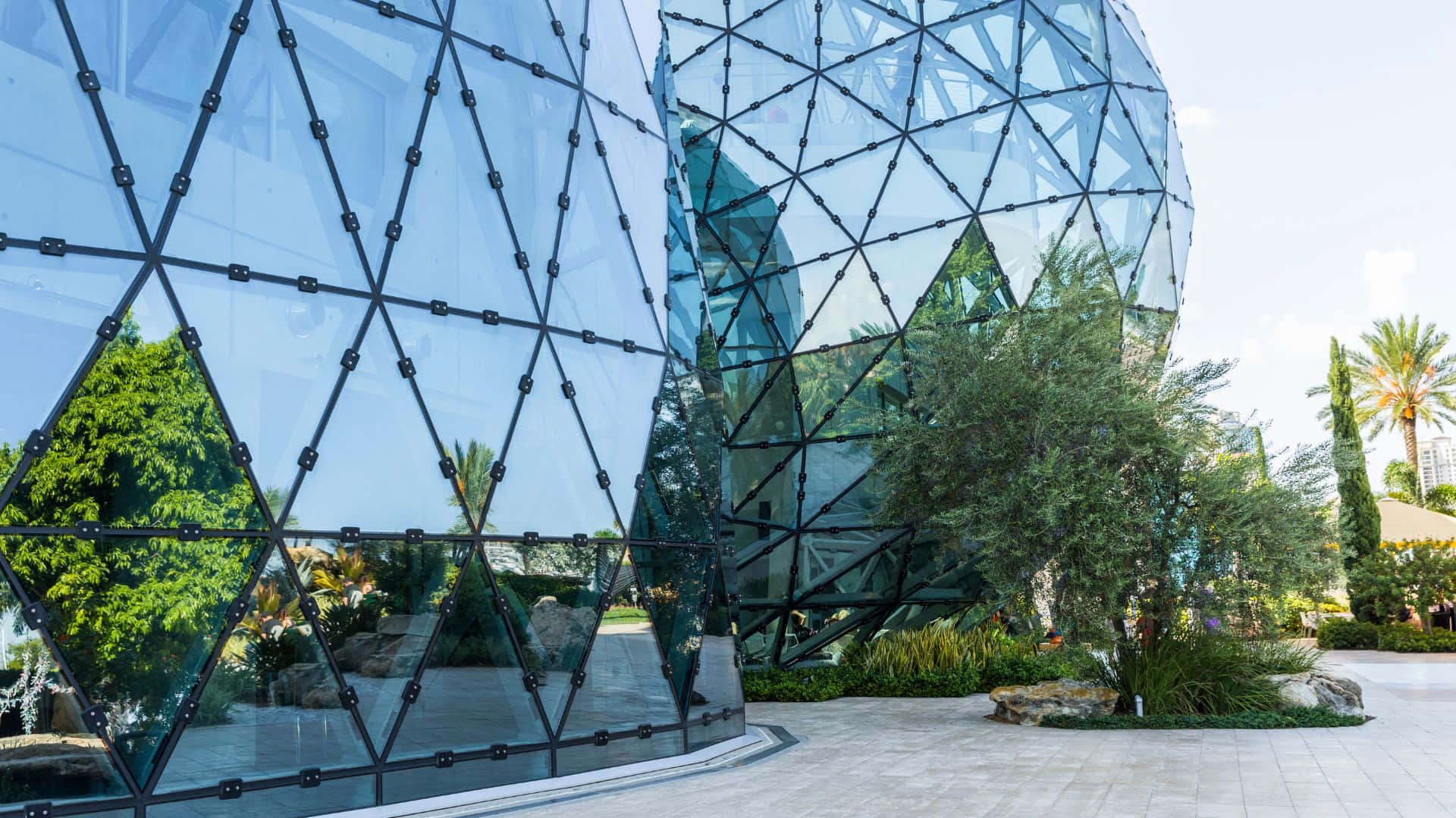 Green Buildings 桌布 壁紙 — 一座未來風格的玻璃測地線穹頂建築在明亮的天空下反射出茂密的綠樹和棕櫚樹。